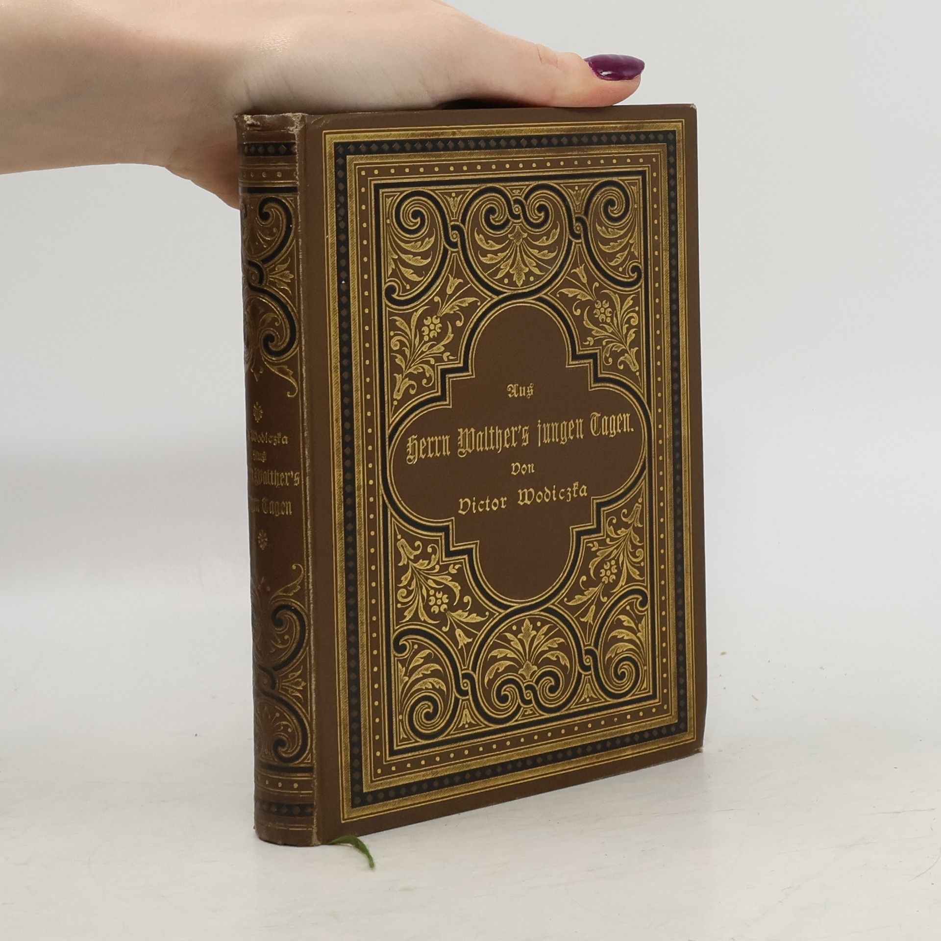 Victor Wodiczka Aus Herrn Walther's Jungen Tagen