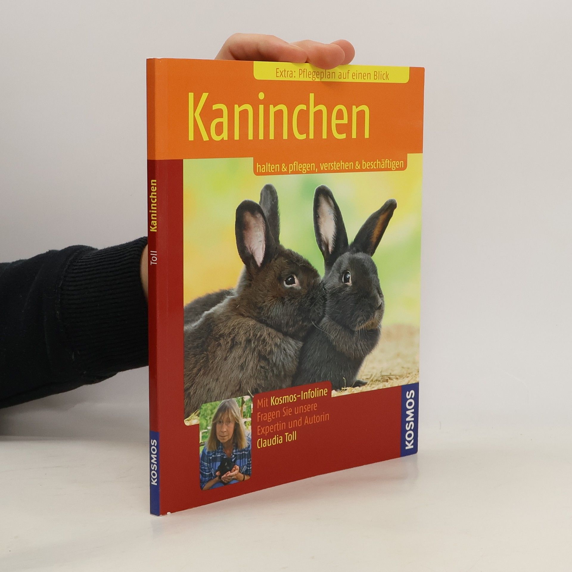 Claudia Toll Kaninchen