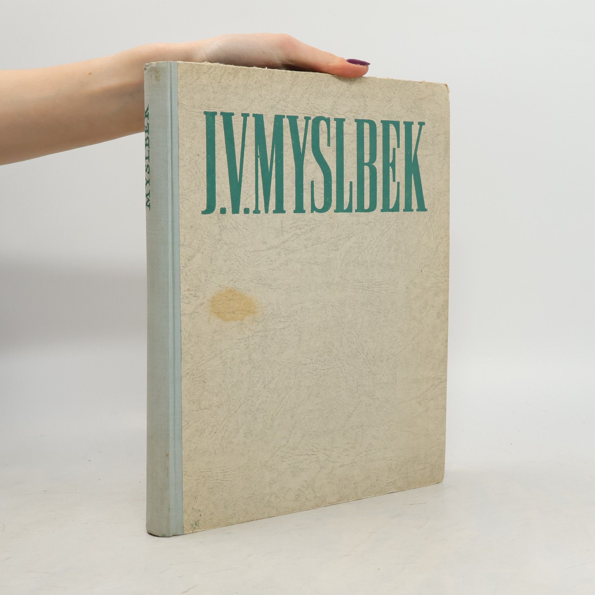 Vojtěch Volavka J. V. Myslbek