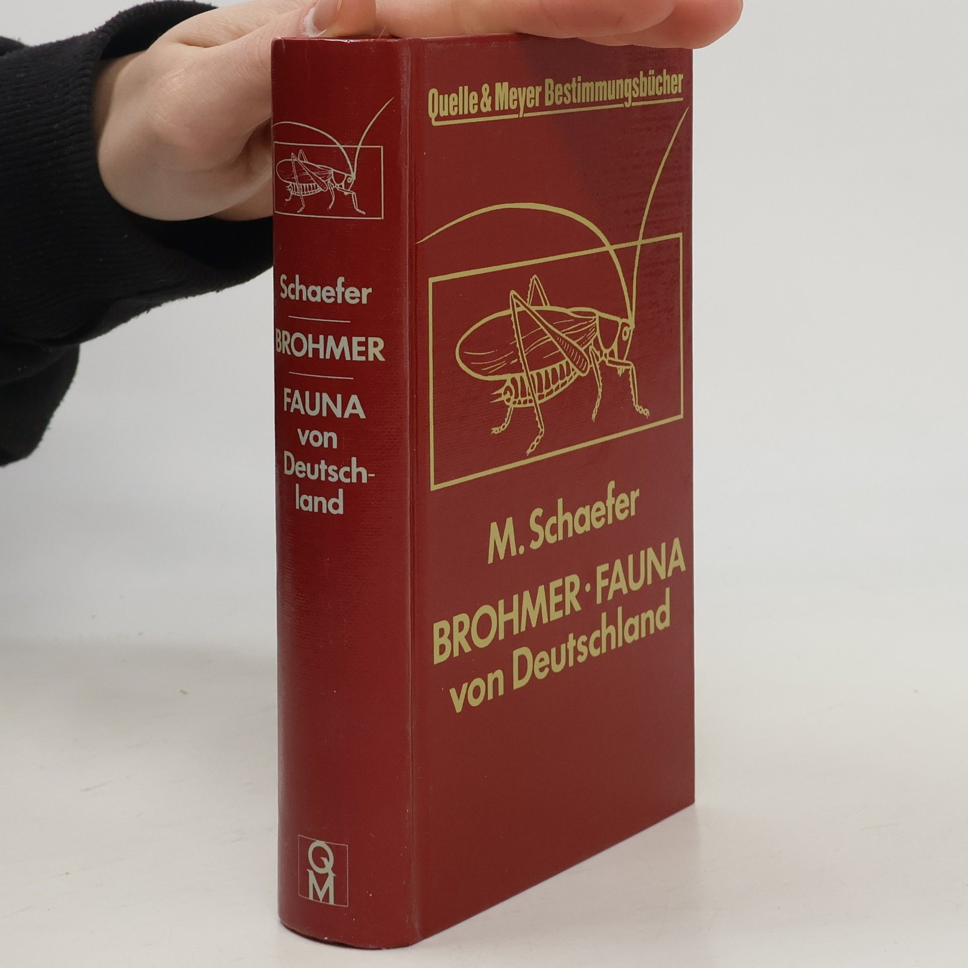 Matthias Schaefer Fauna von Deutschland