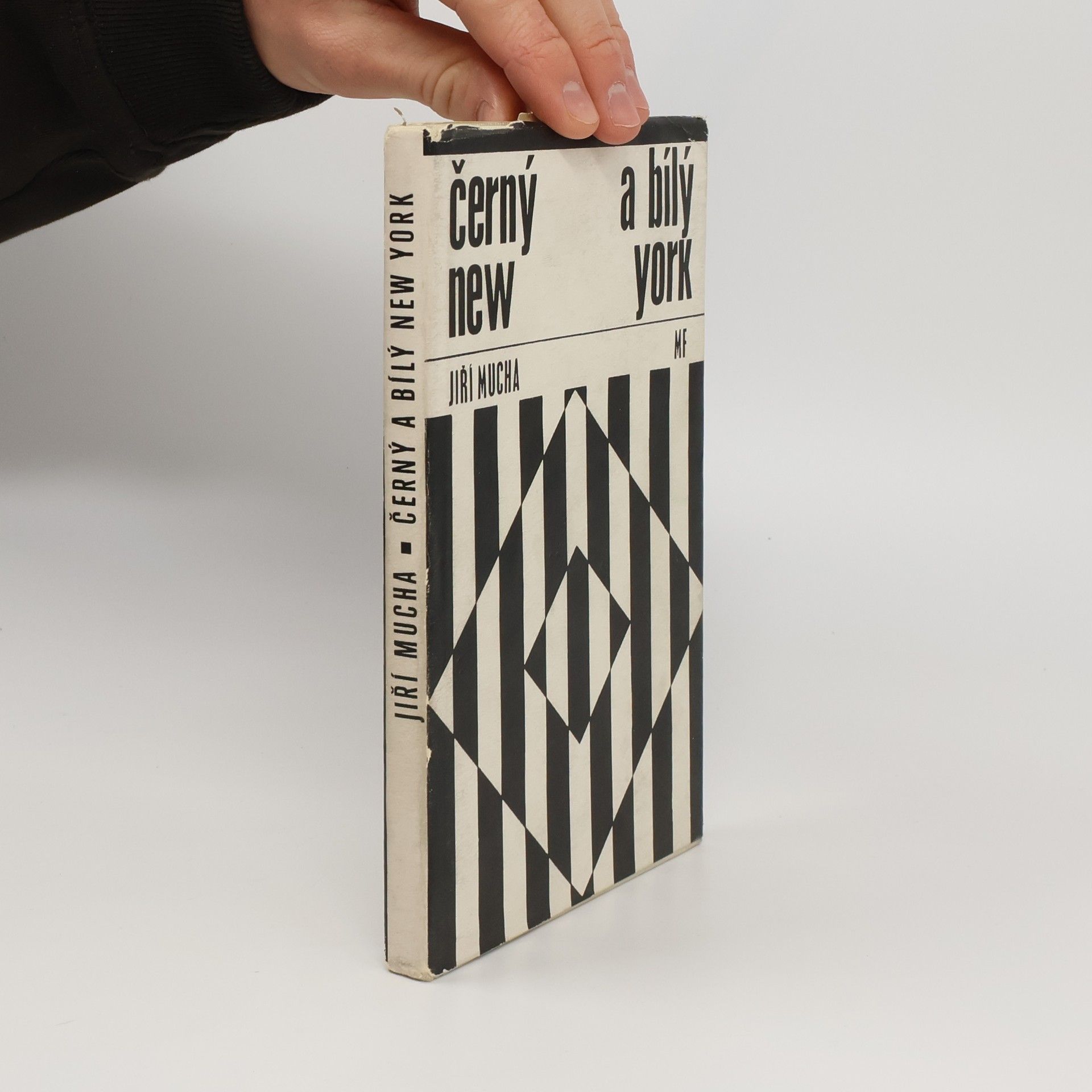 Jiří Mucha Černý a bílý New York