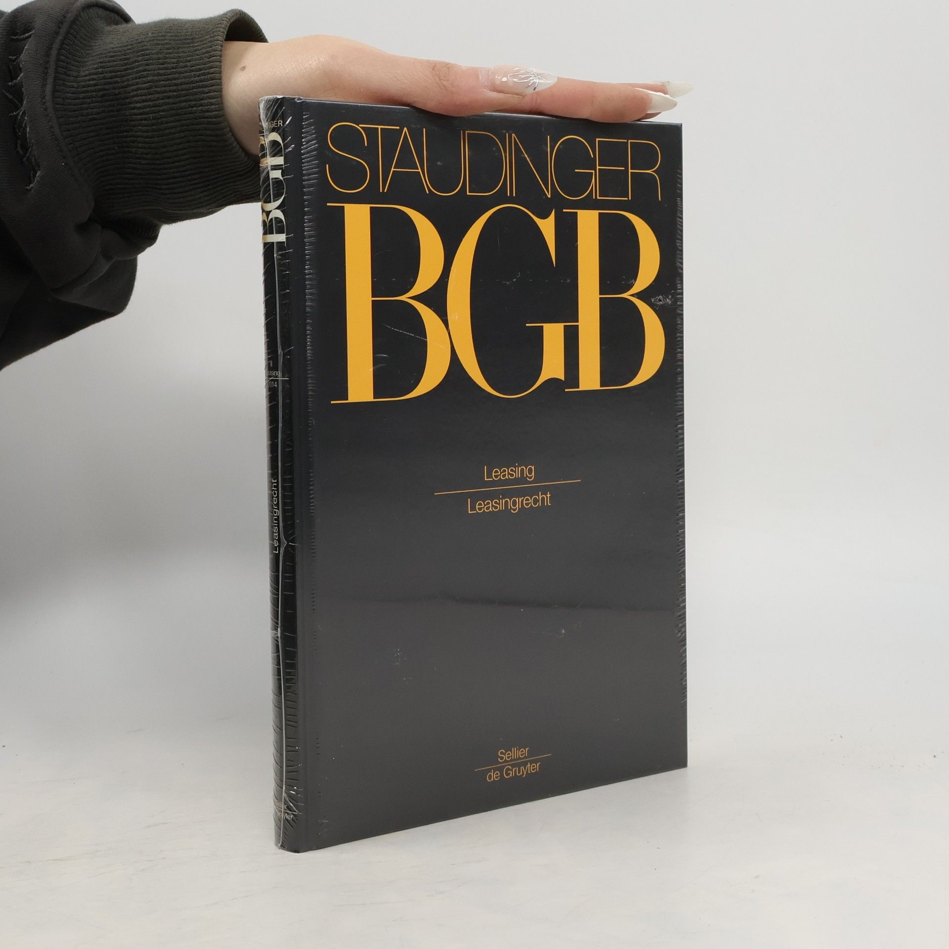 Markus Stoffels Staudinger: Leasingrecht