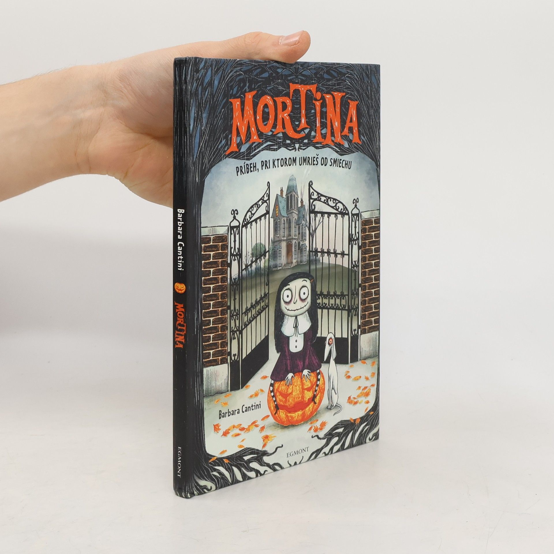 Barbara Cantini Mortina