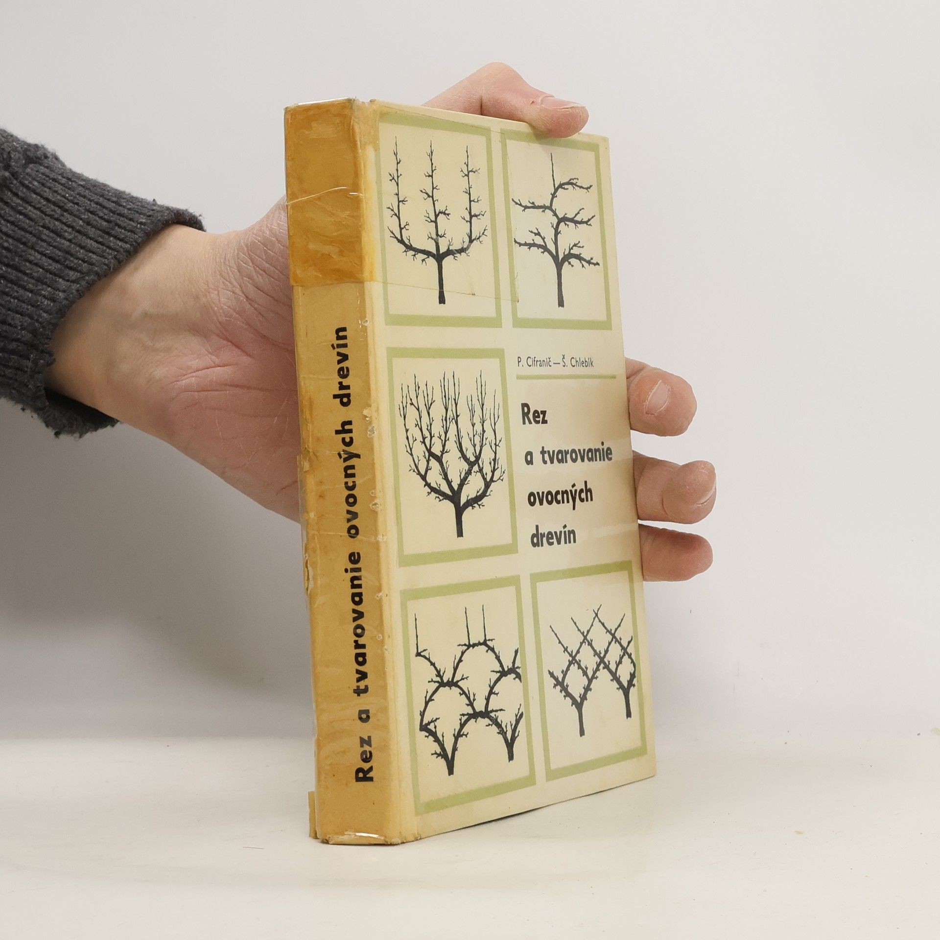 Rez a tvarovanie ovocných drevín