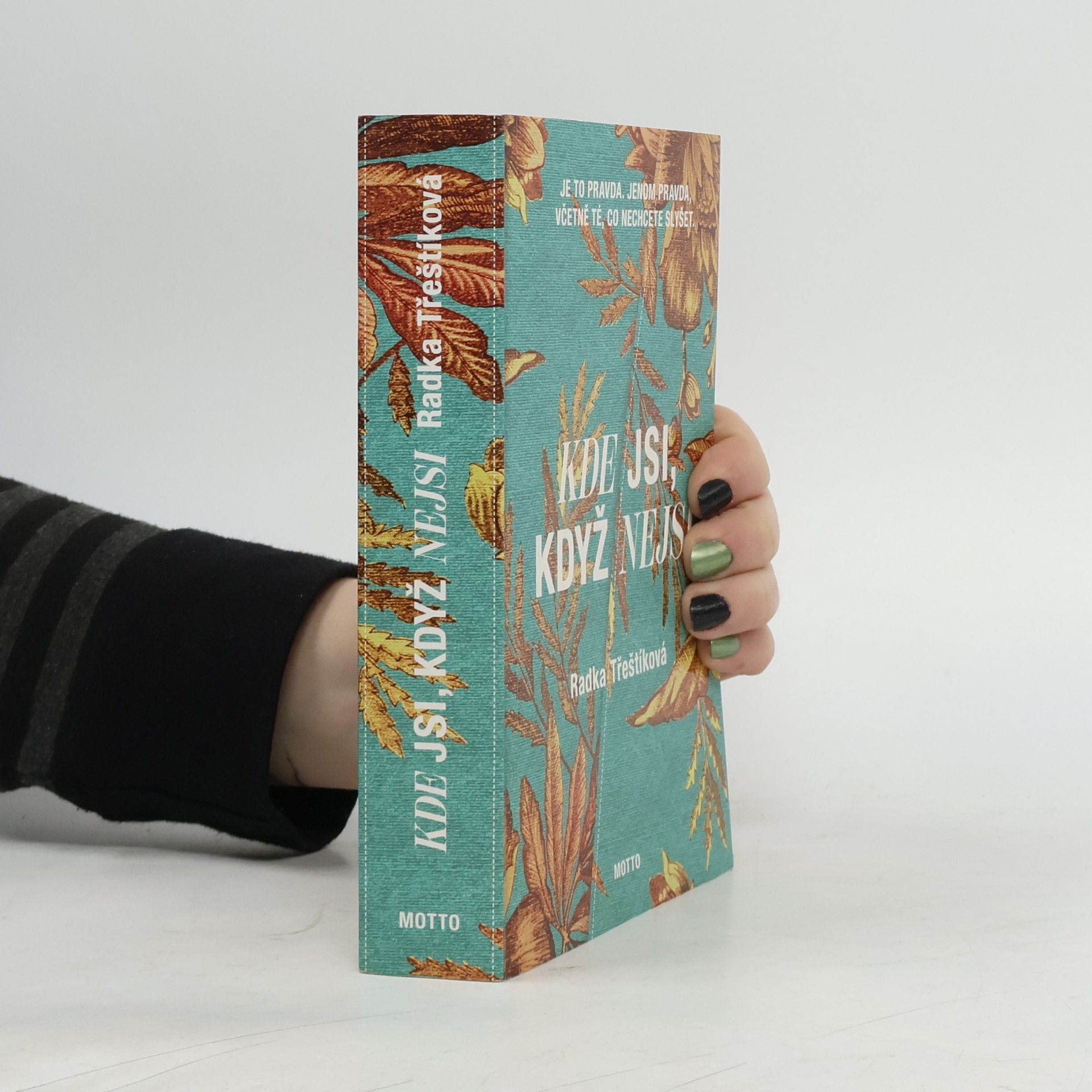 Radka Třeštíková Kde jsi, když nejsi