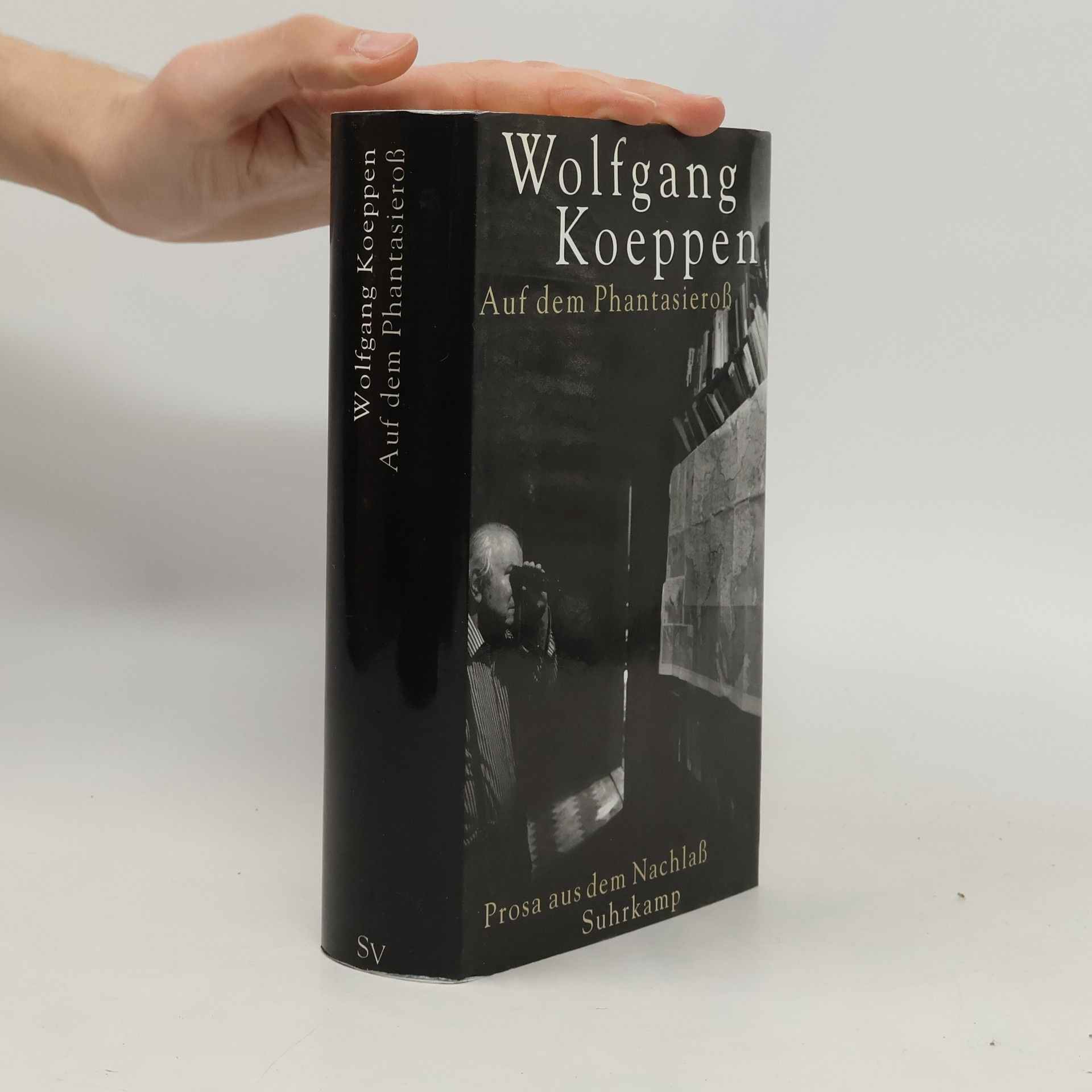 Auf dem Phantasieross