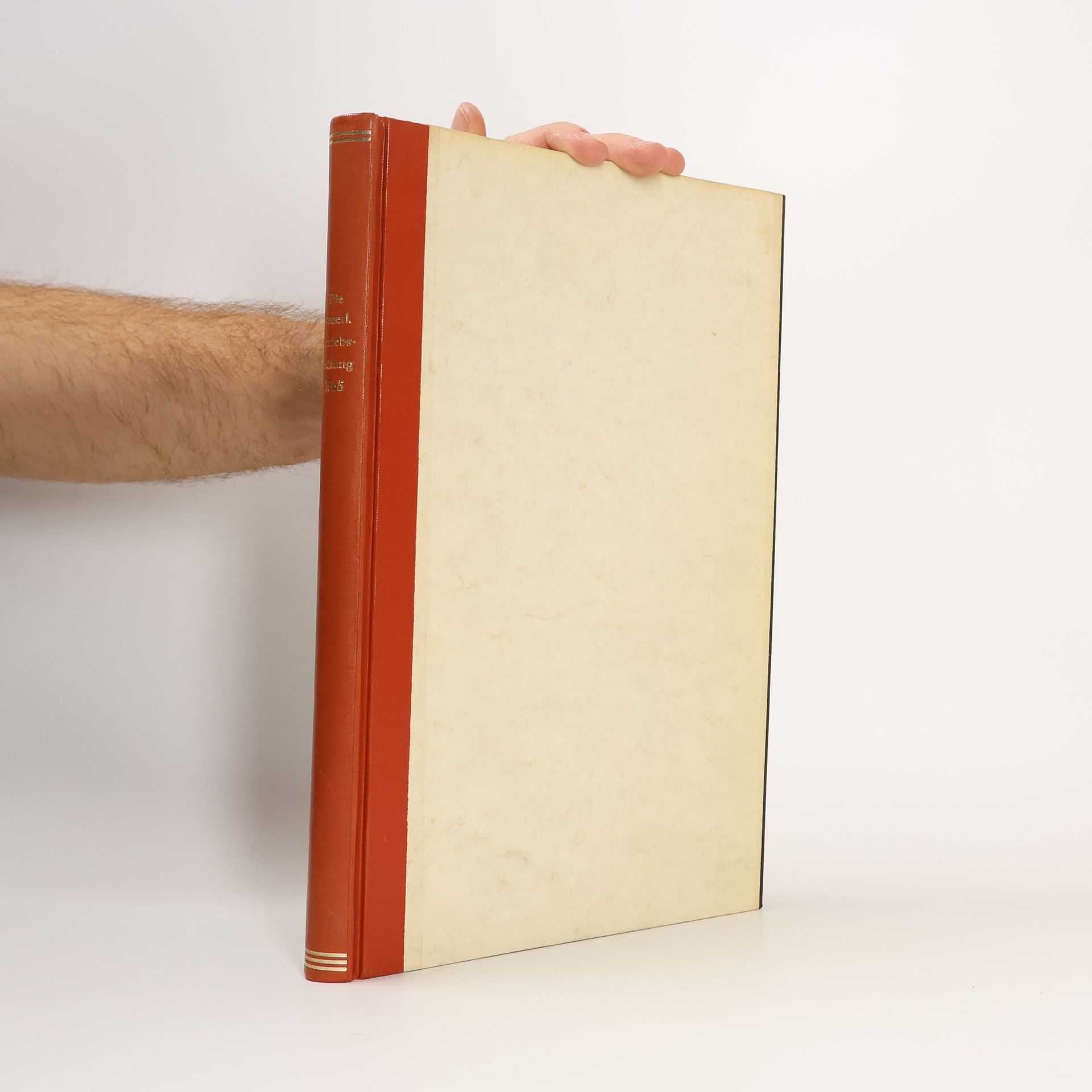 AA.VV. Die steuerliche Betriebsprüfung 1965