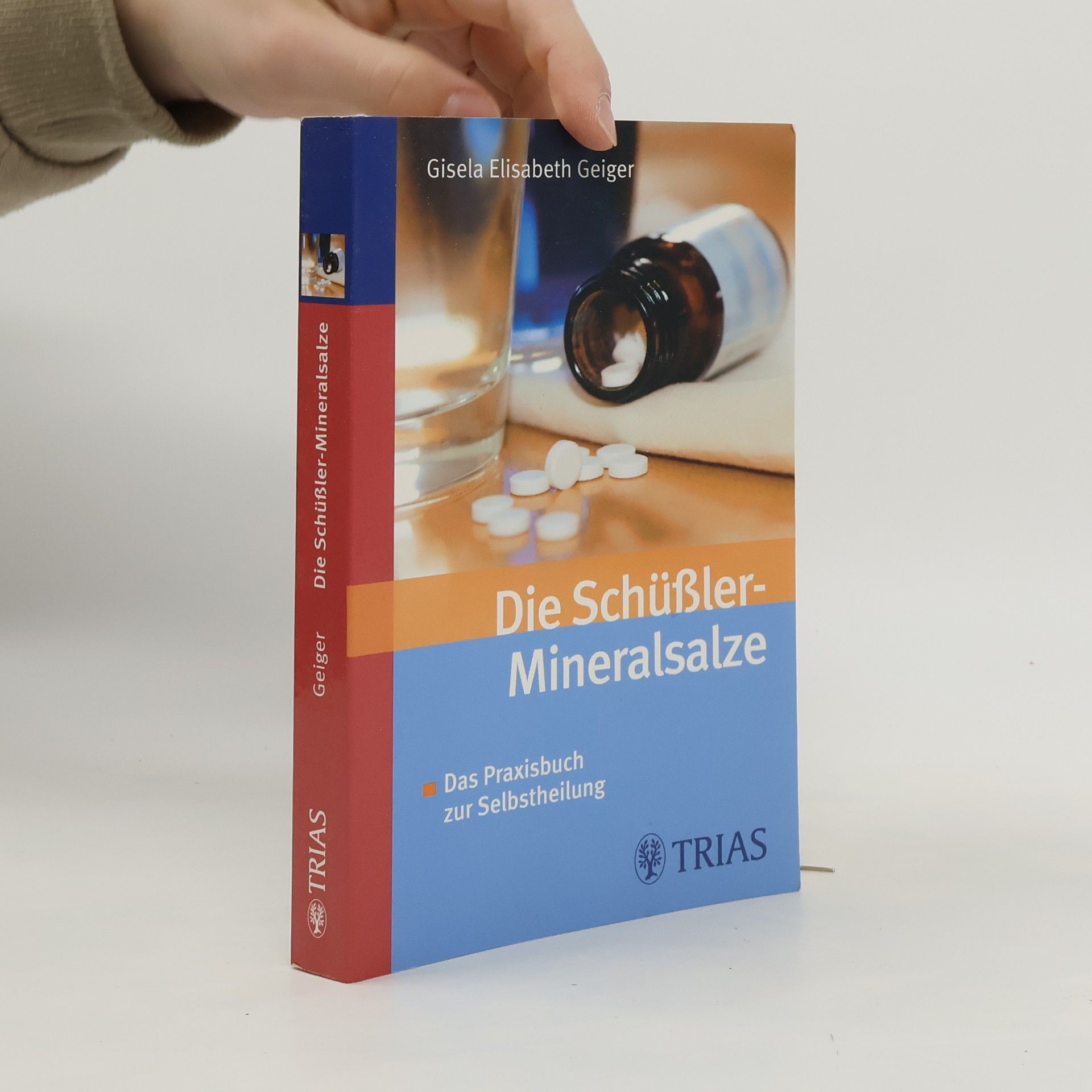 Gisela Elisabeth Geiger Die Schüssler-Mineralsalze. Das Praxisbuch zur Selbstheilung