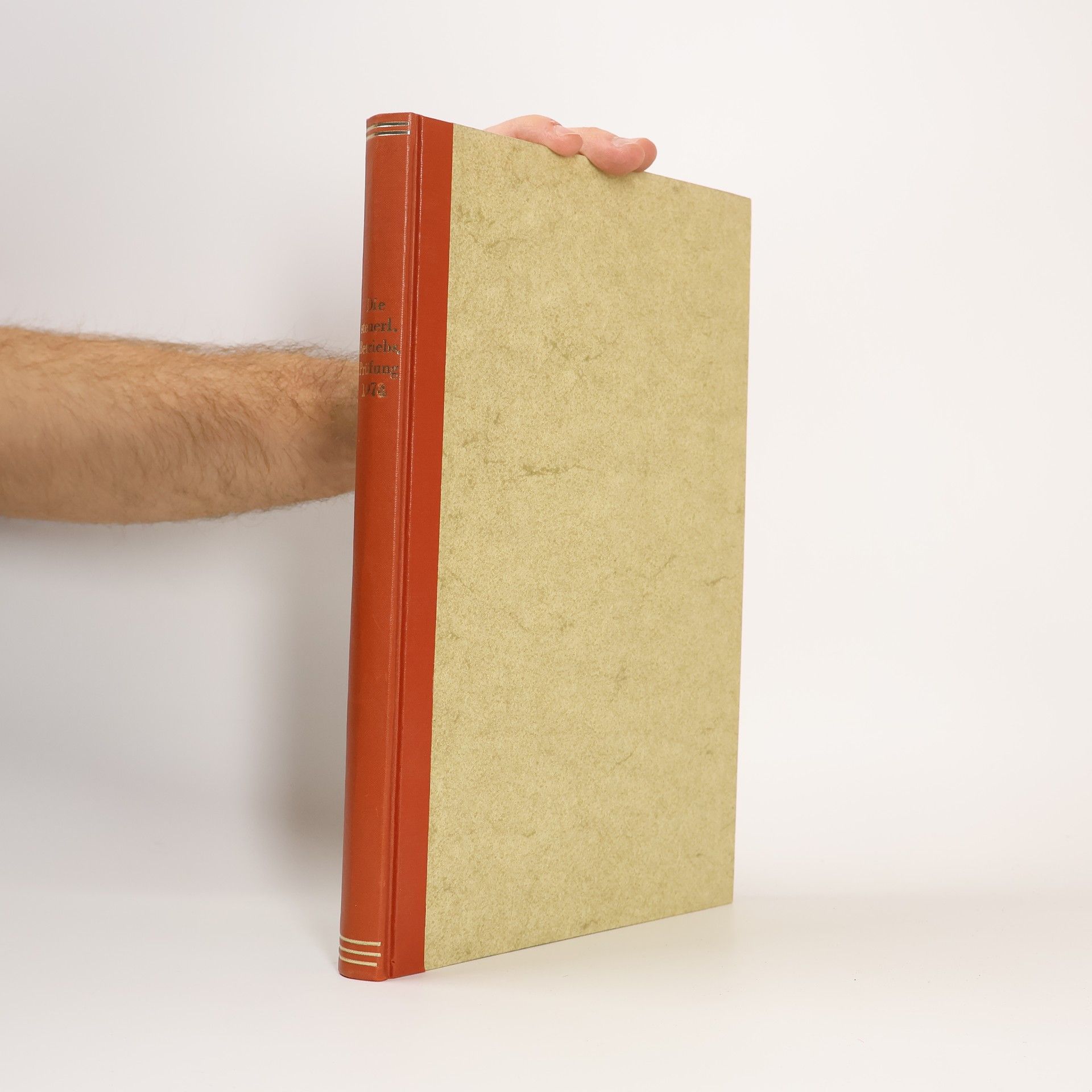 AA.VV. Die steuerliche Betriebsprüfung