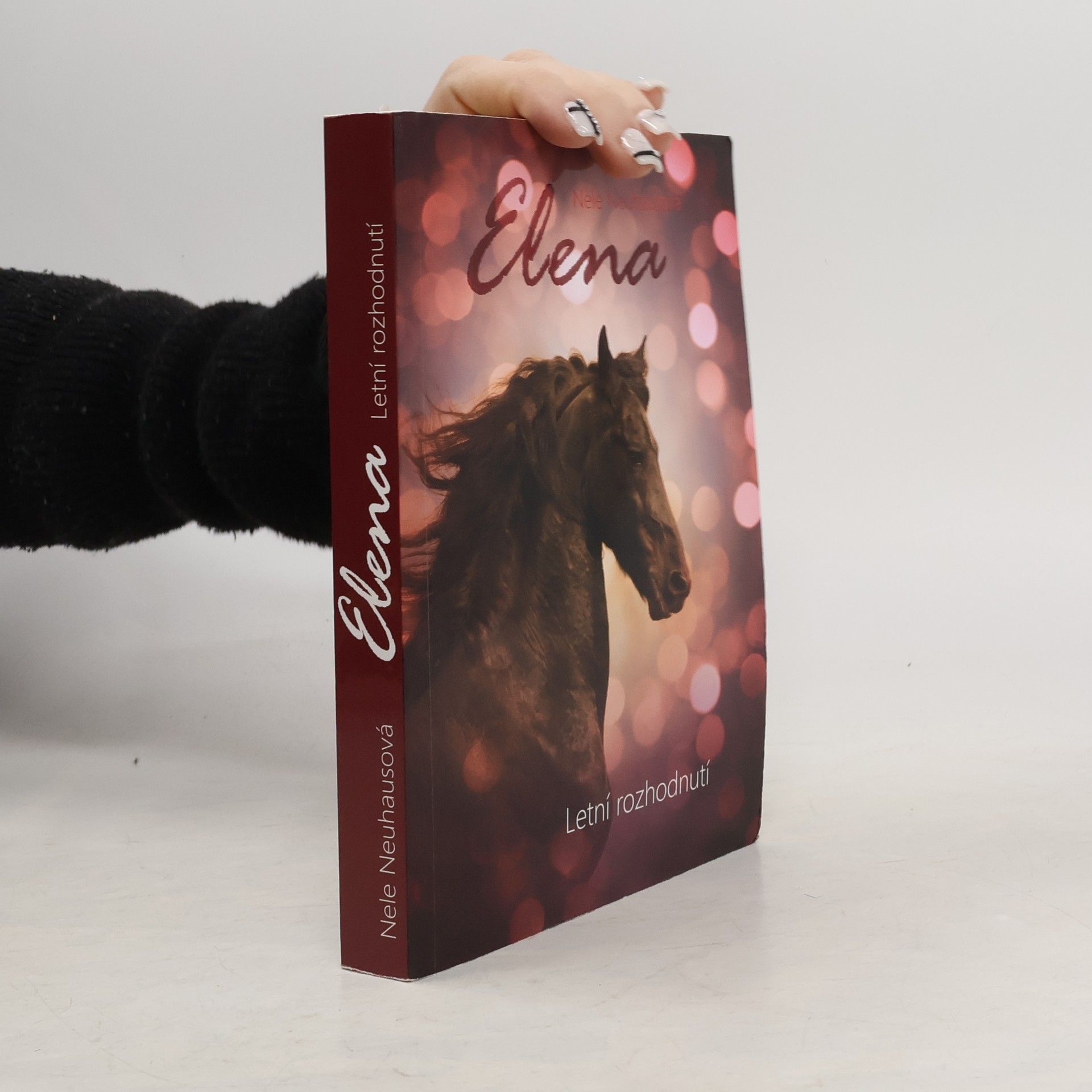 Nele Neuhaus Letní rozhodnutí