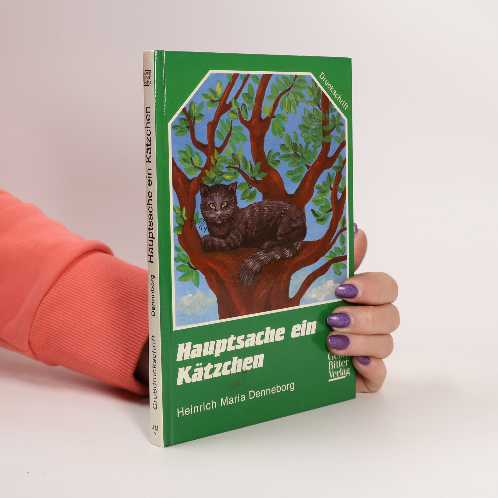 Hauptsache ein Kätzchen und andere Geschichten - Grossdruck
