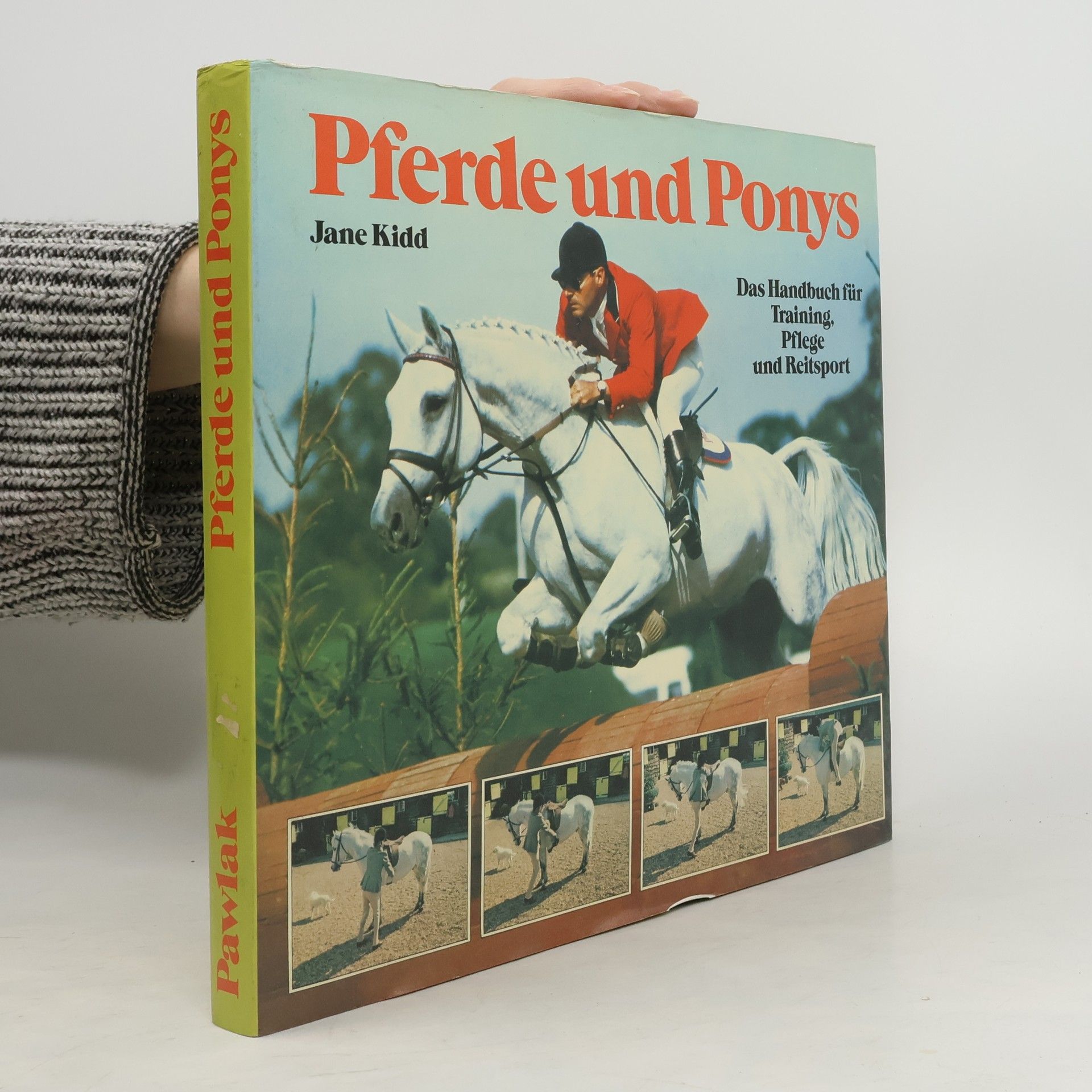 Jane Kidd Pferde und Ponys