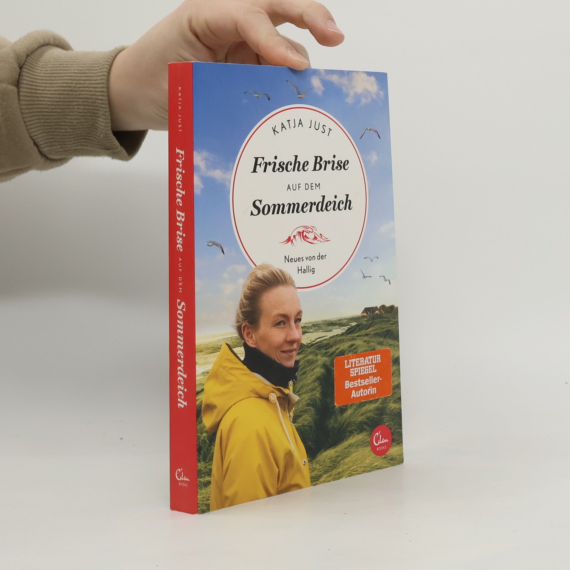Katja Just Frische Brise auf dem Sommerdeich