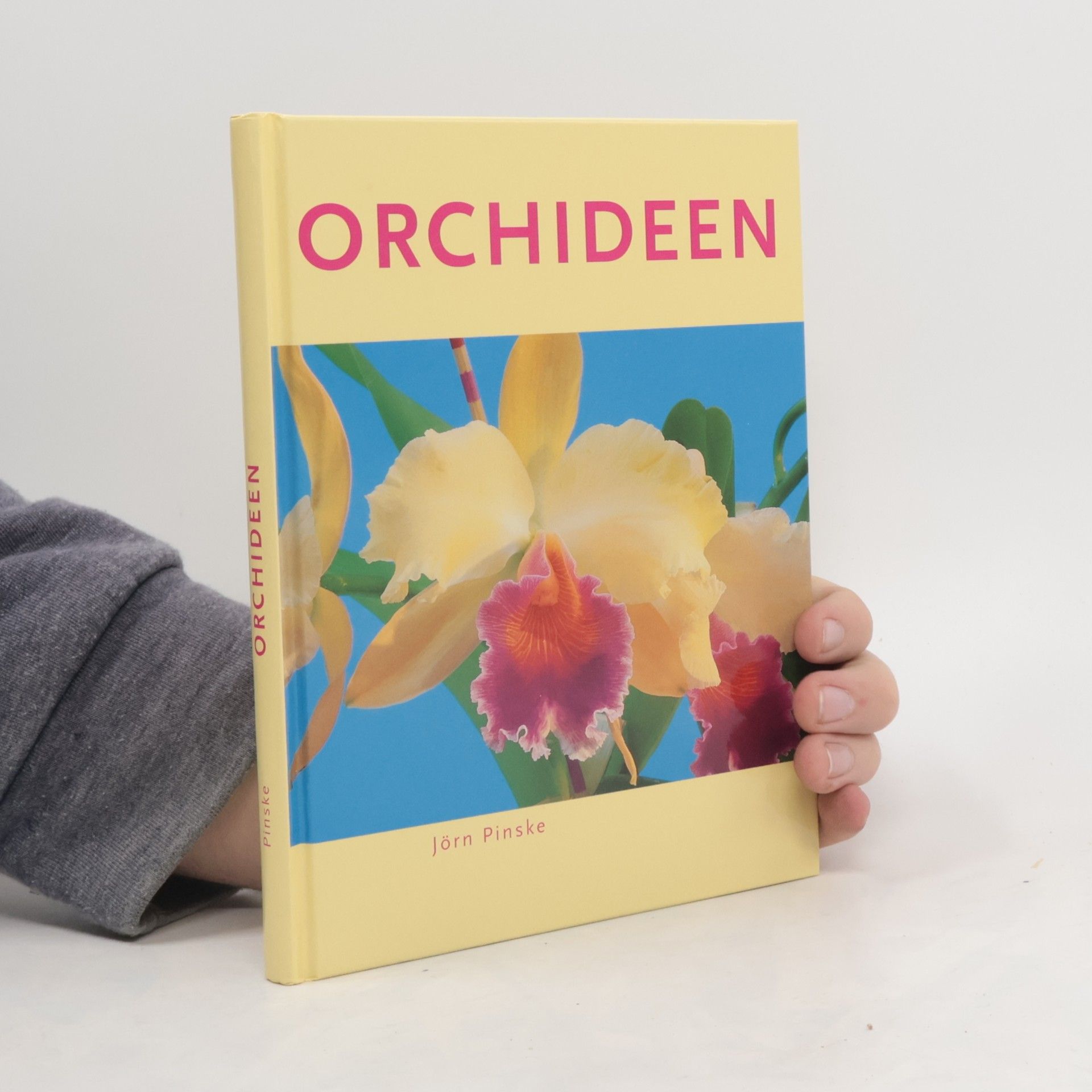 Orchideen