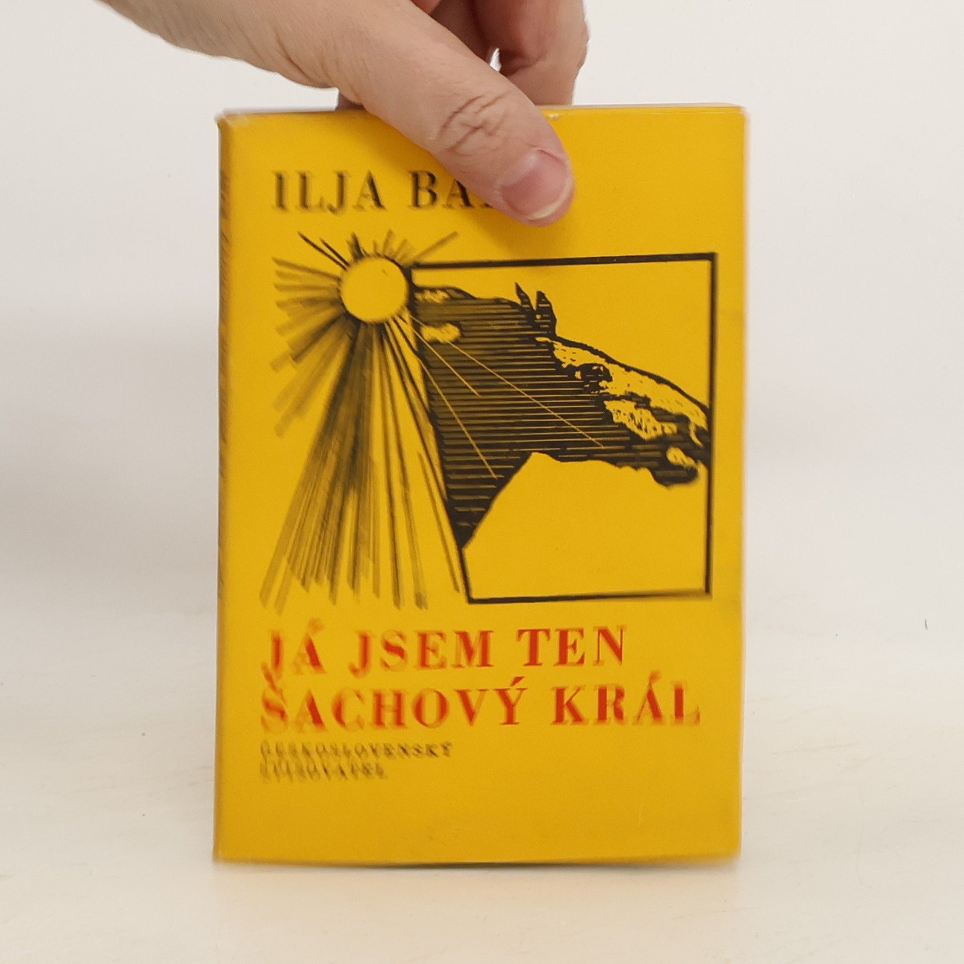 Já jsem ten šachový král