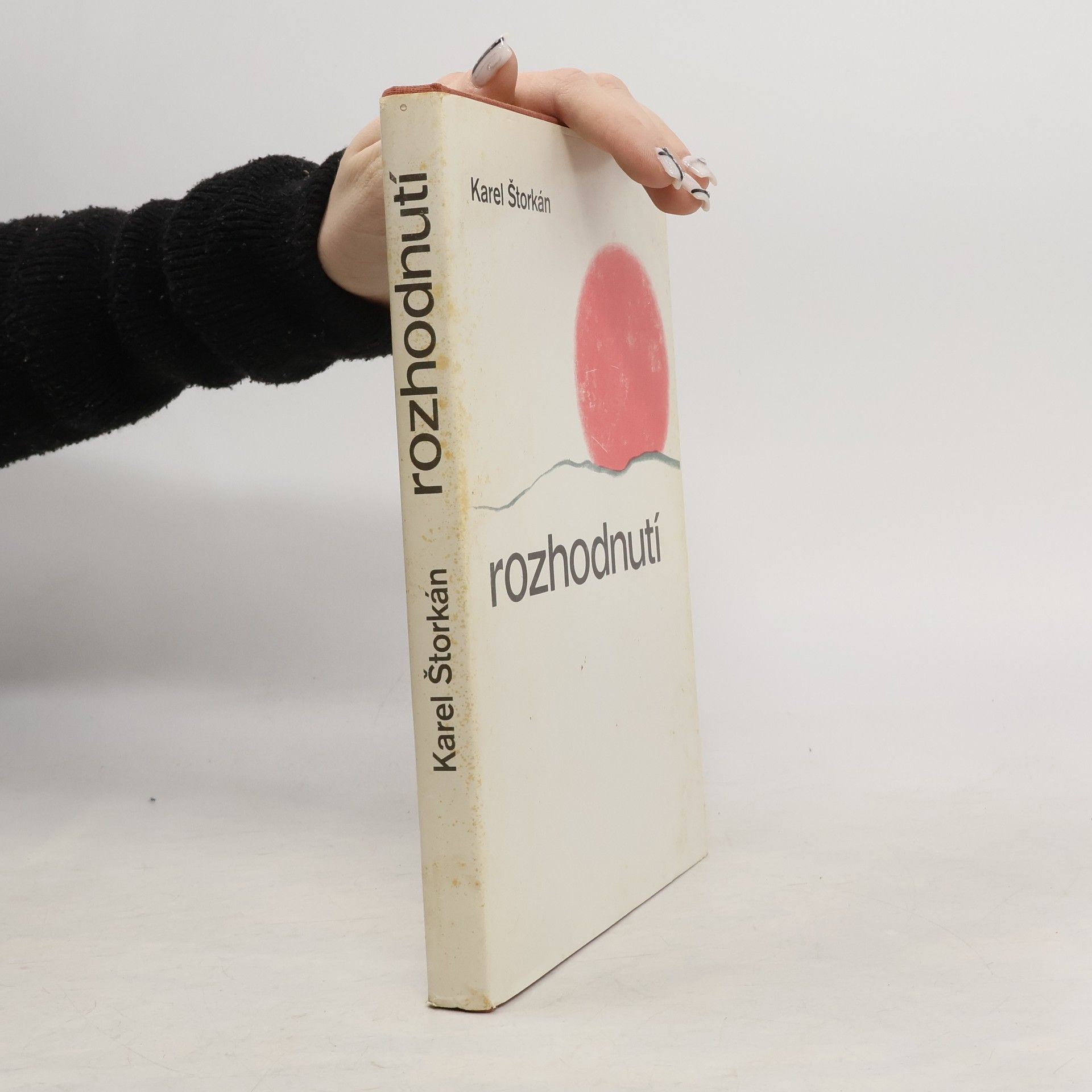 Karel Štorkán Rozhodnutí