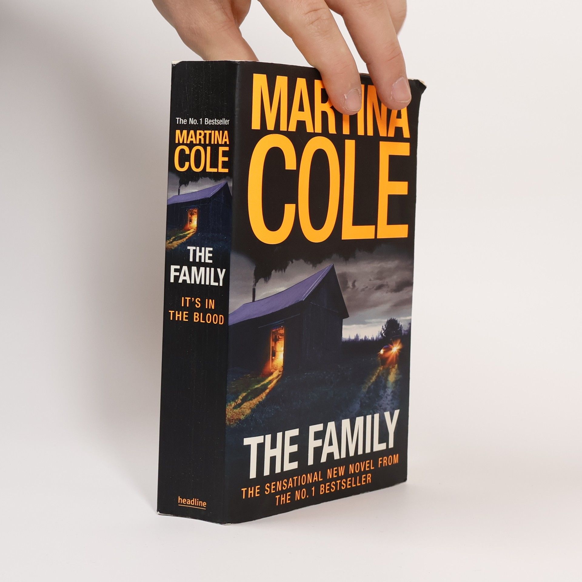 Martina Cole The Family
