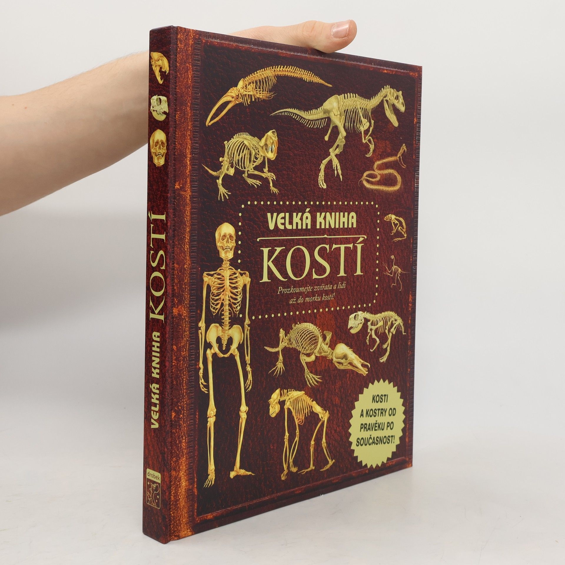 Velká kniha kostí