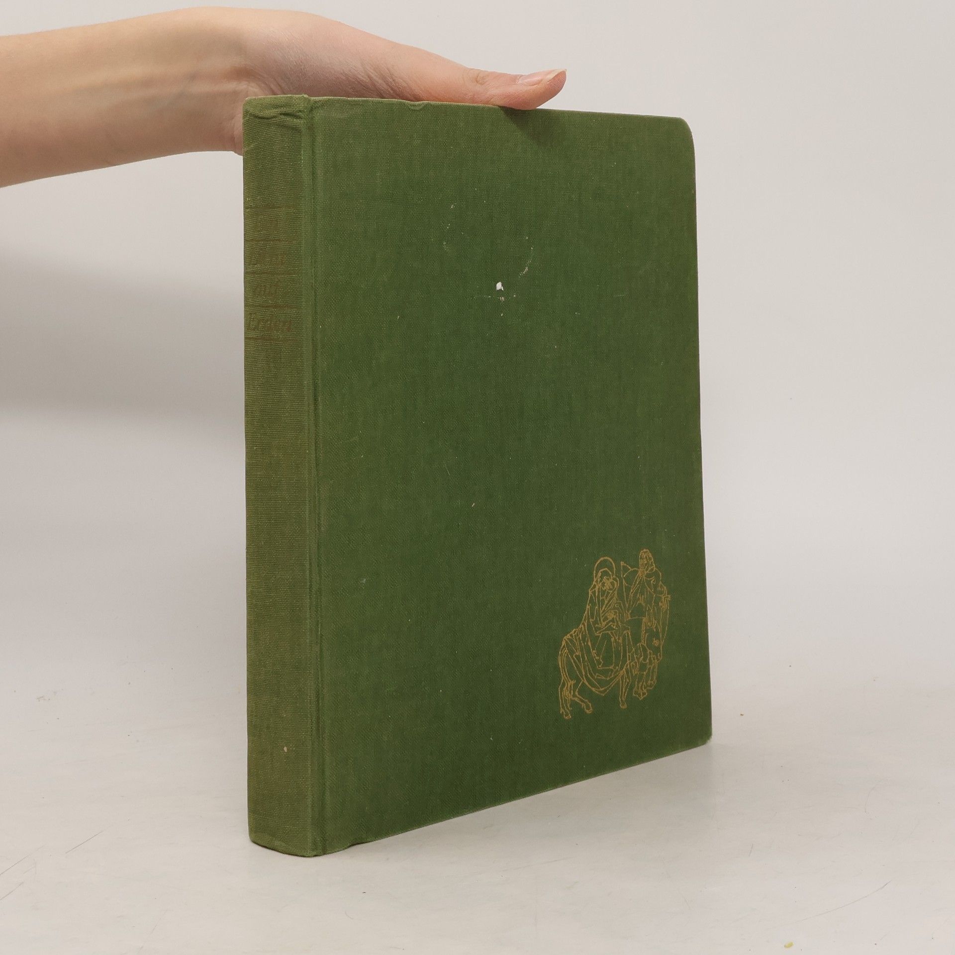 Autorenkollektiv Ein Licht auf Erden