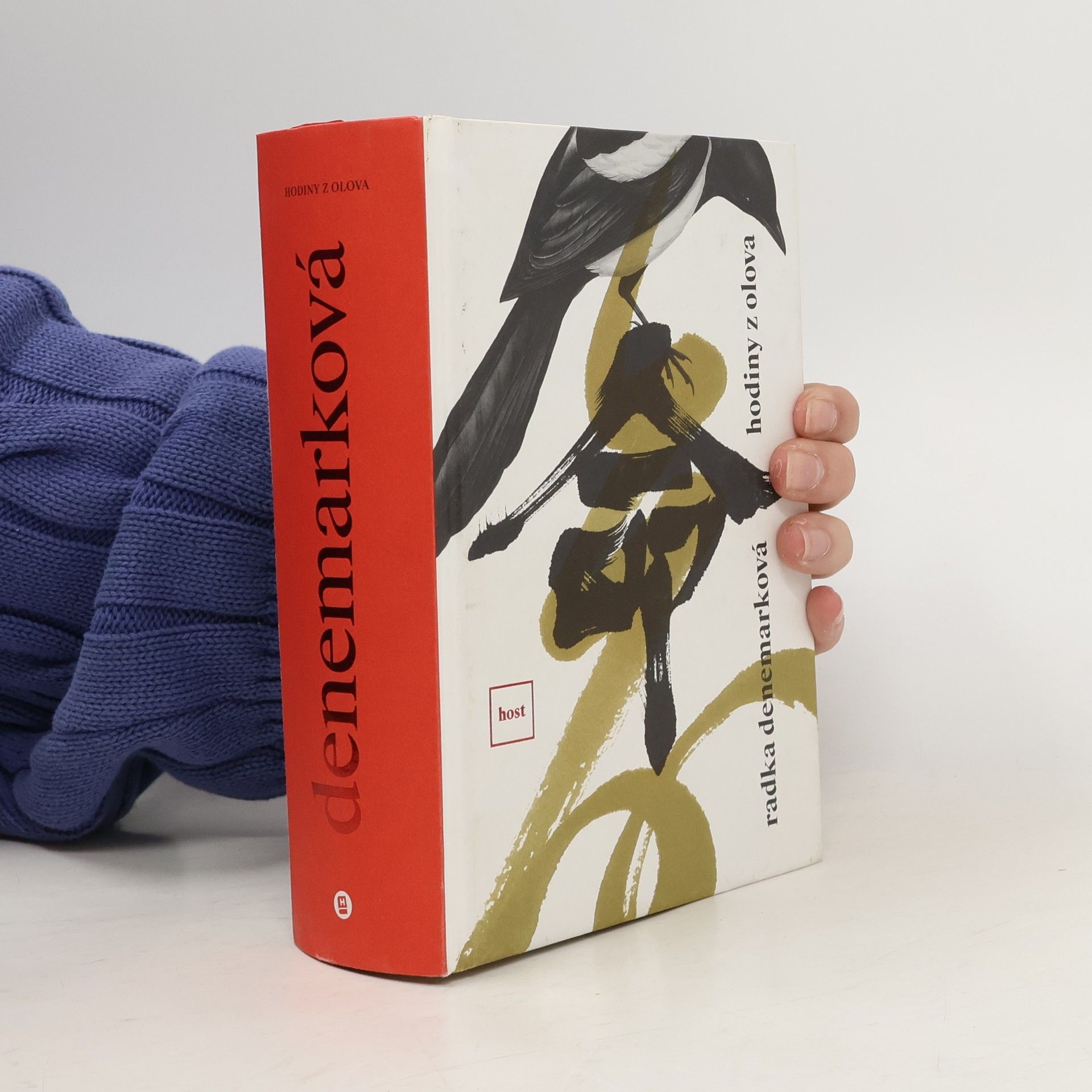 Radka Denemarková Hodiny z olova