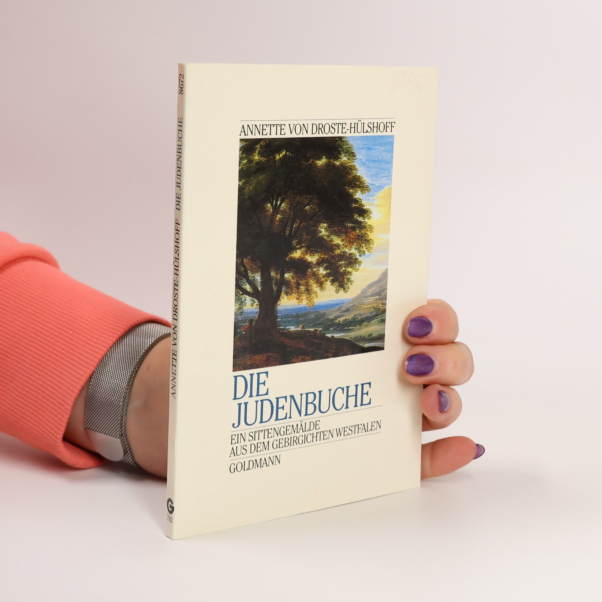 Annette von Droste-Hülshoff Die Judenbuche. Ein Sittengemälde aus dem gebirgichten Westfalen