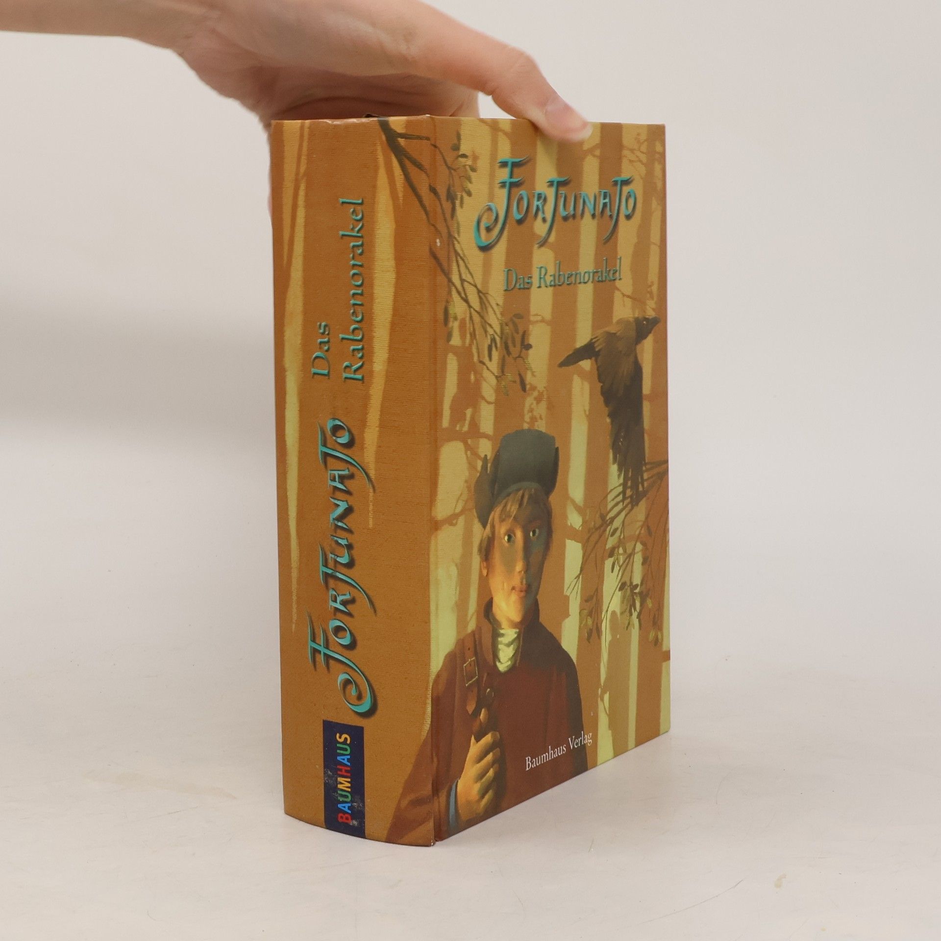 Thomas Montasser Das Rabenorakel