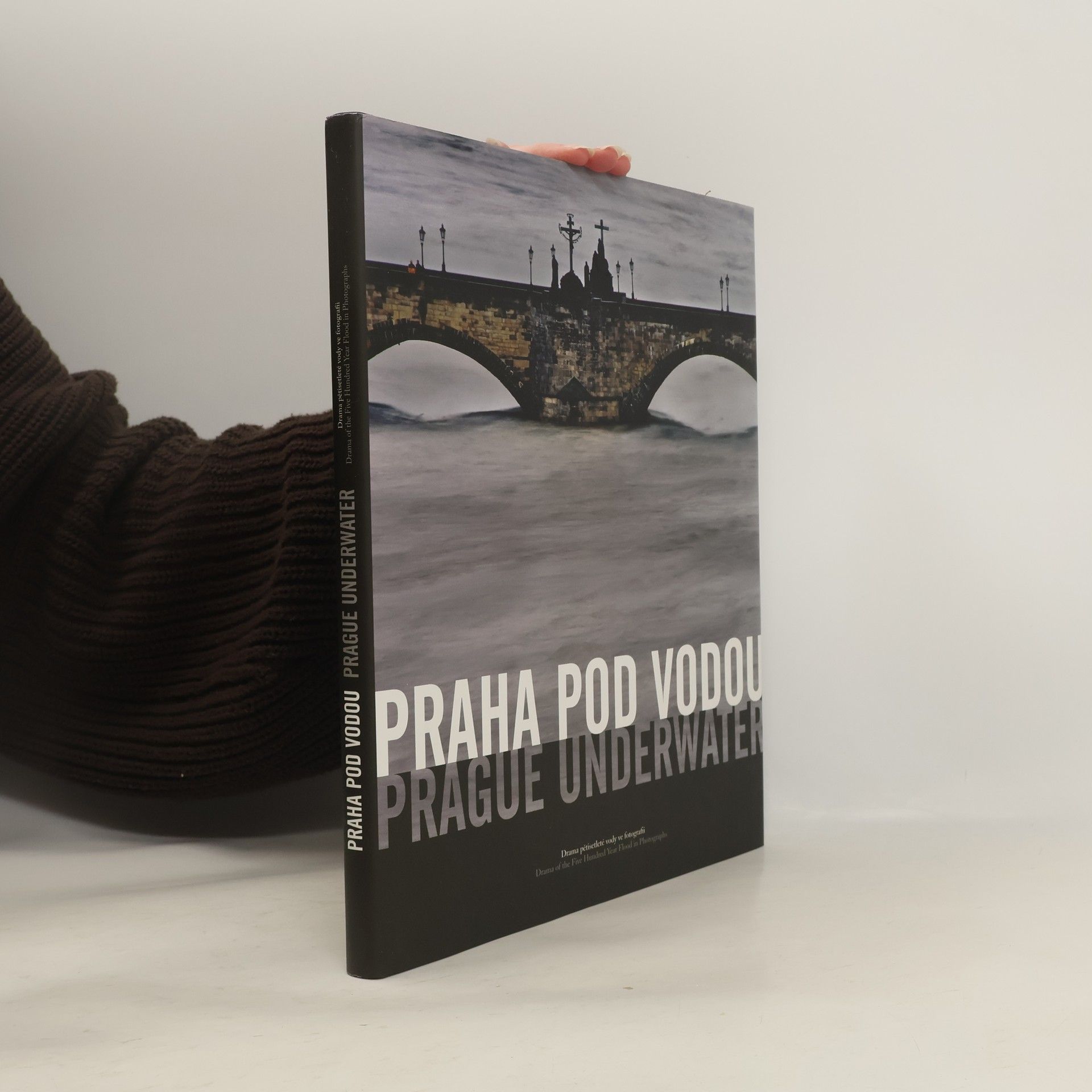 Daniela Mrázková Praha pod vodou: Drama pětisetleté vody ve fotografii = Prague underwater: Drama of the five hundred year flood in photographs