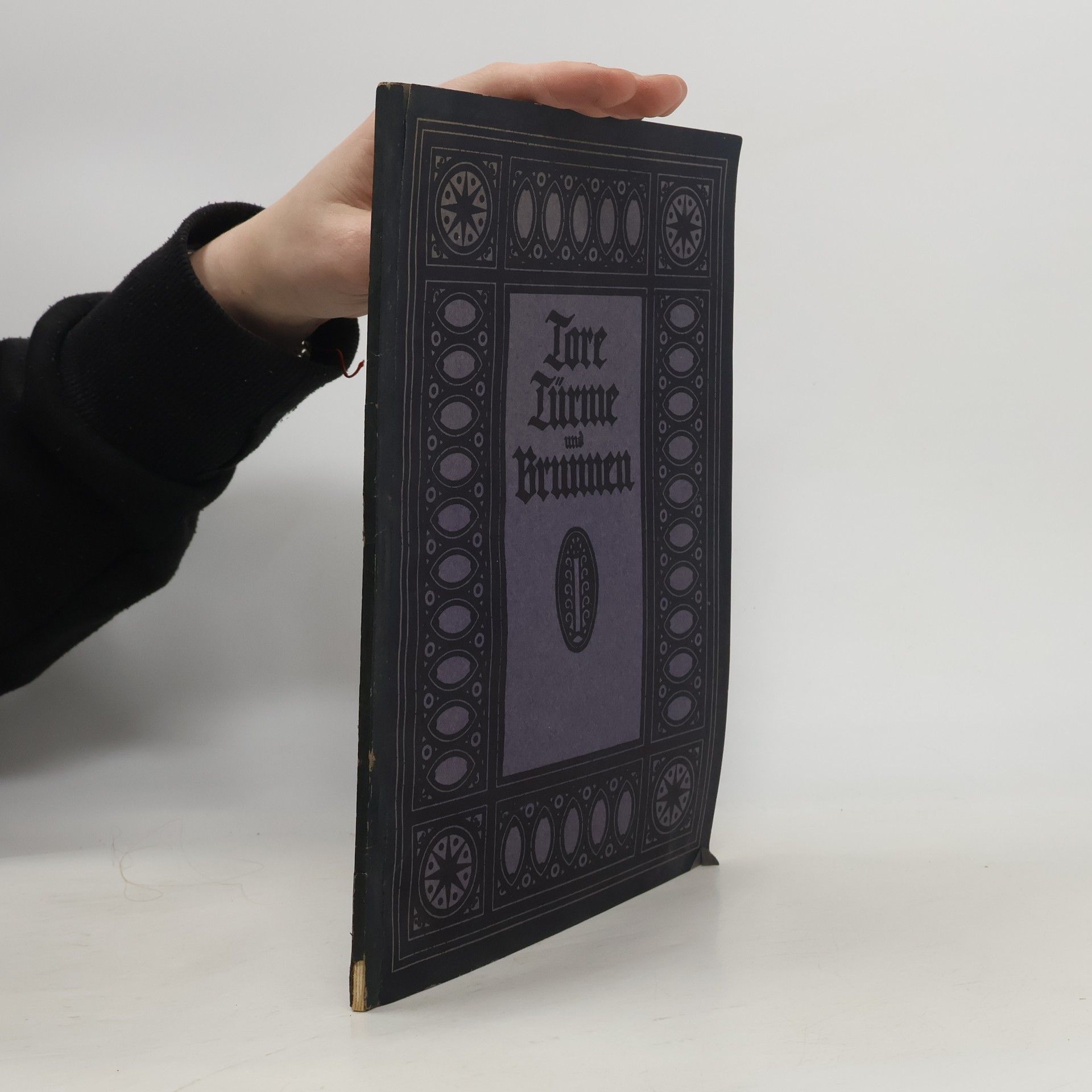 Kolektiv autorů Tore Türme und Grunnen