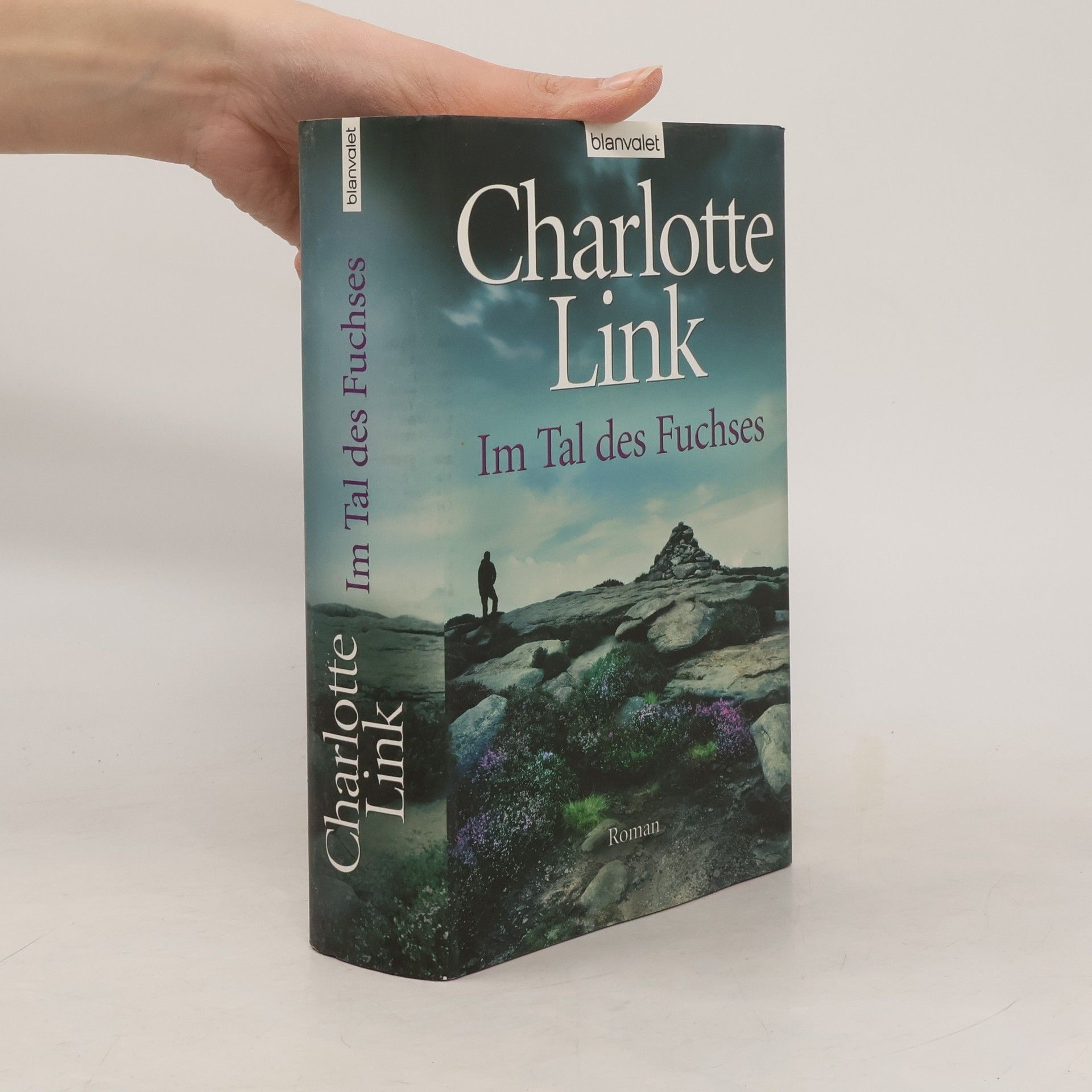 Charlotte Link Im Tal des Fuchses