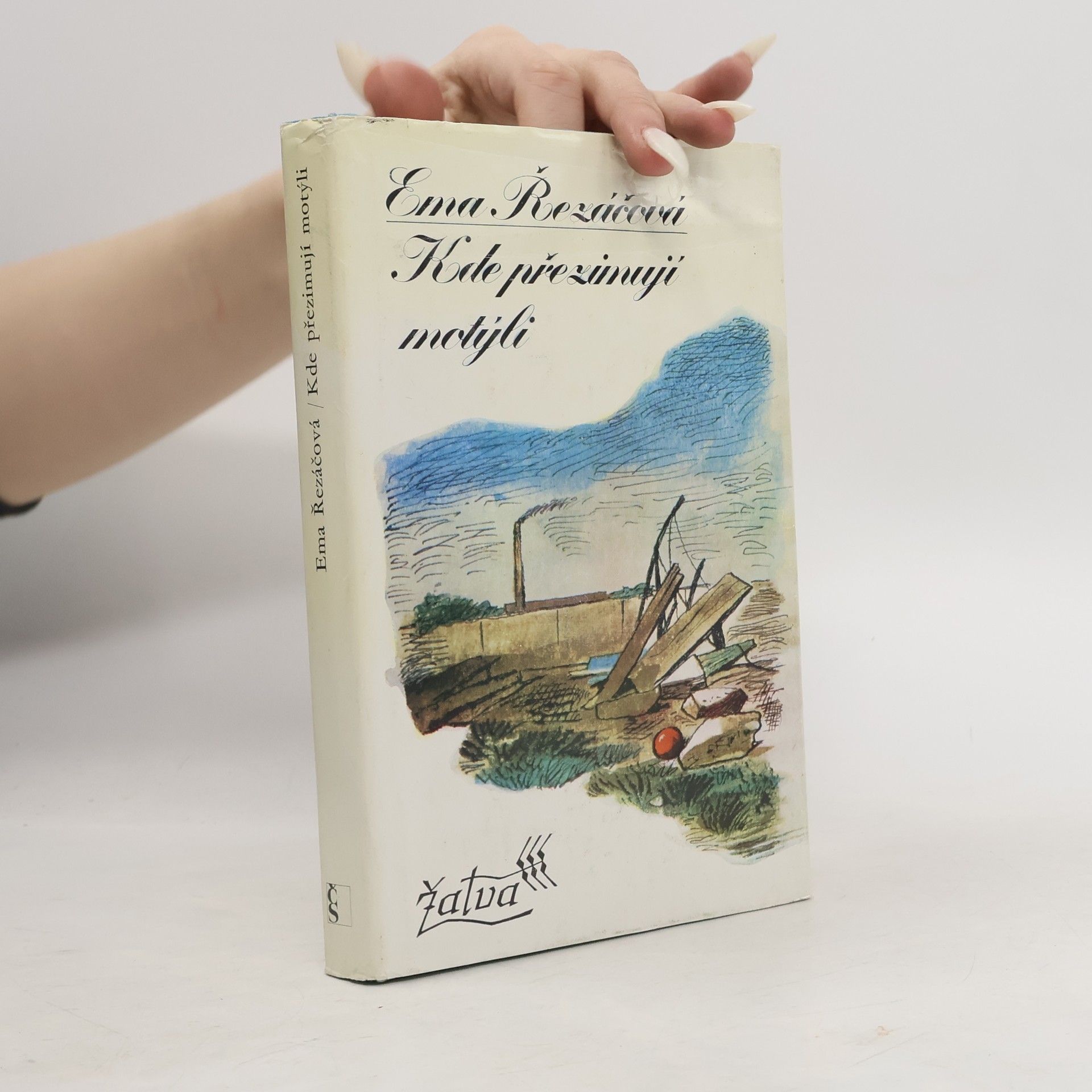 Kde přezimují motýli