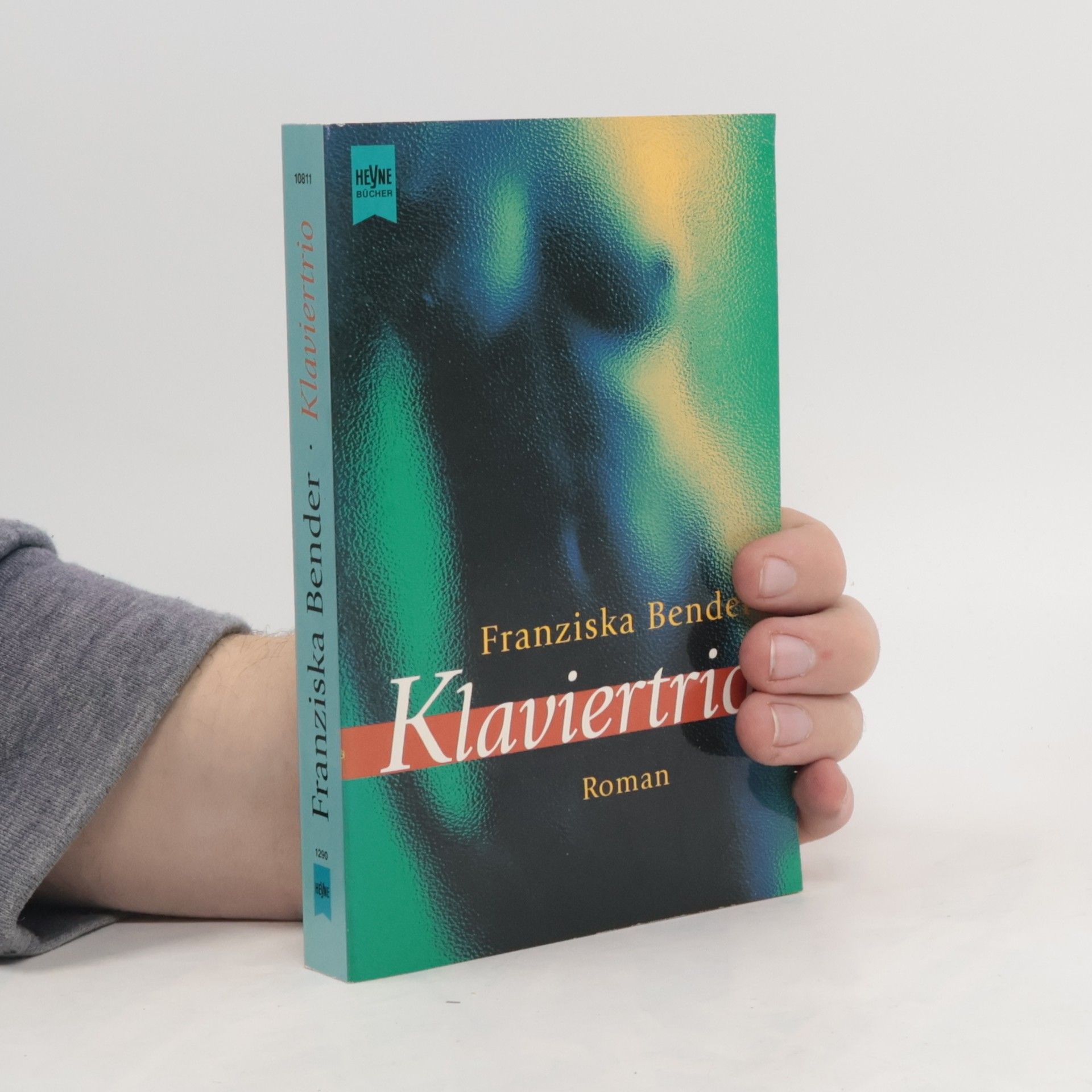 Franziska Bender Klaviertrio. Roman