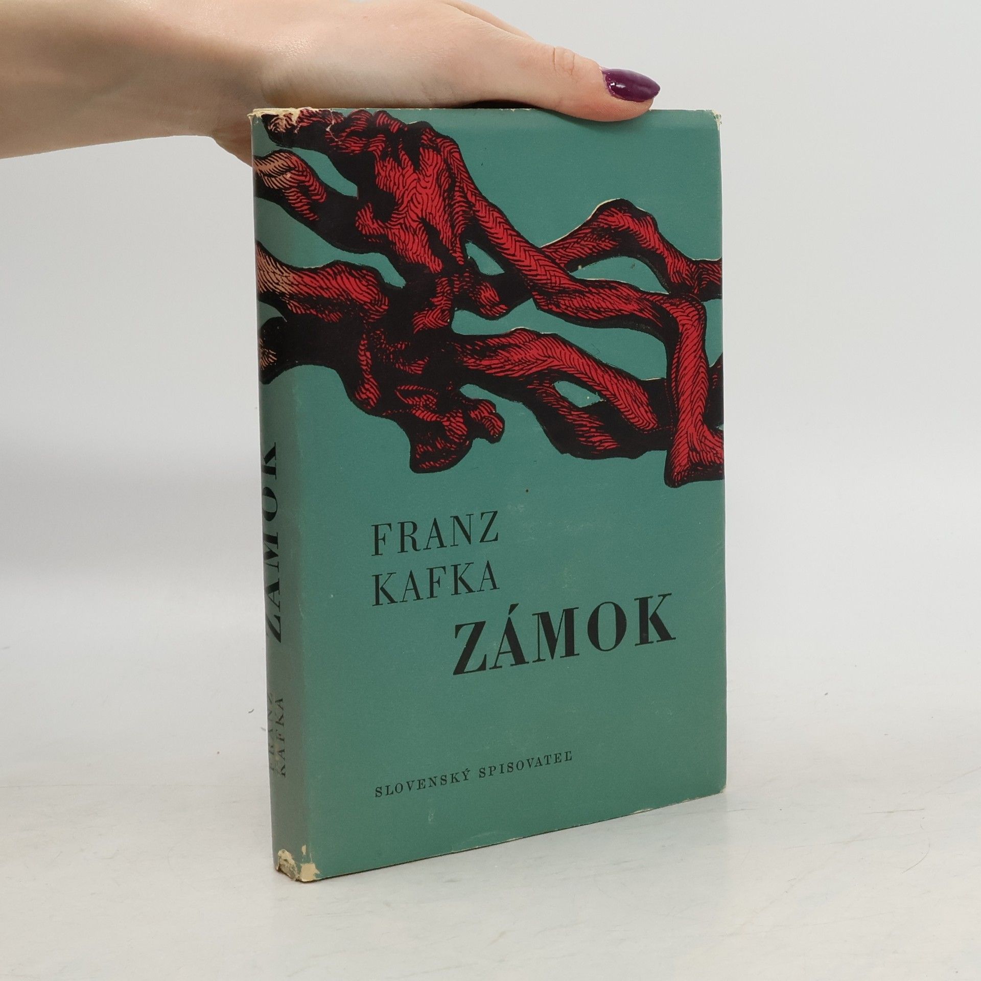 Franz Kafka Zámok