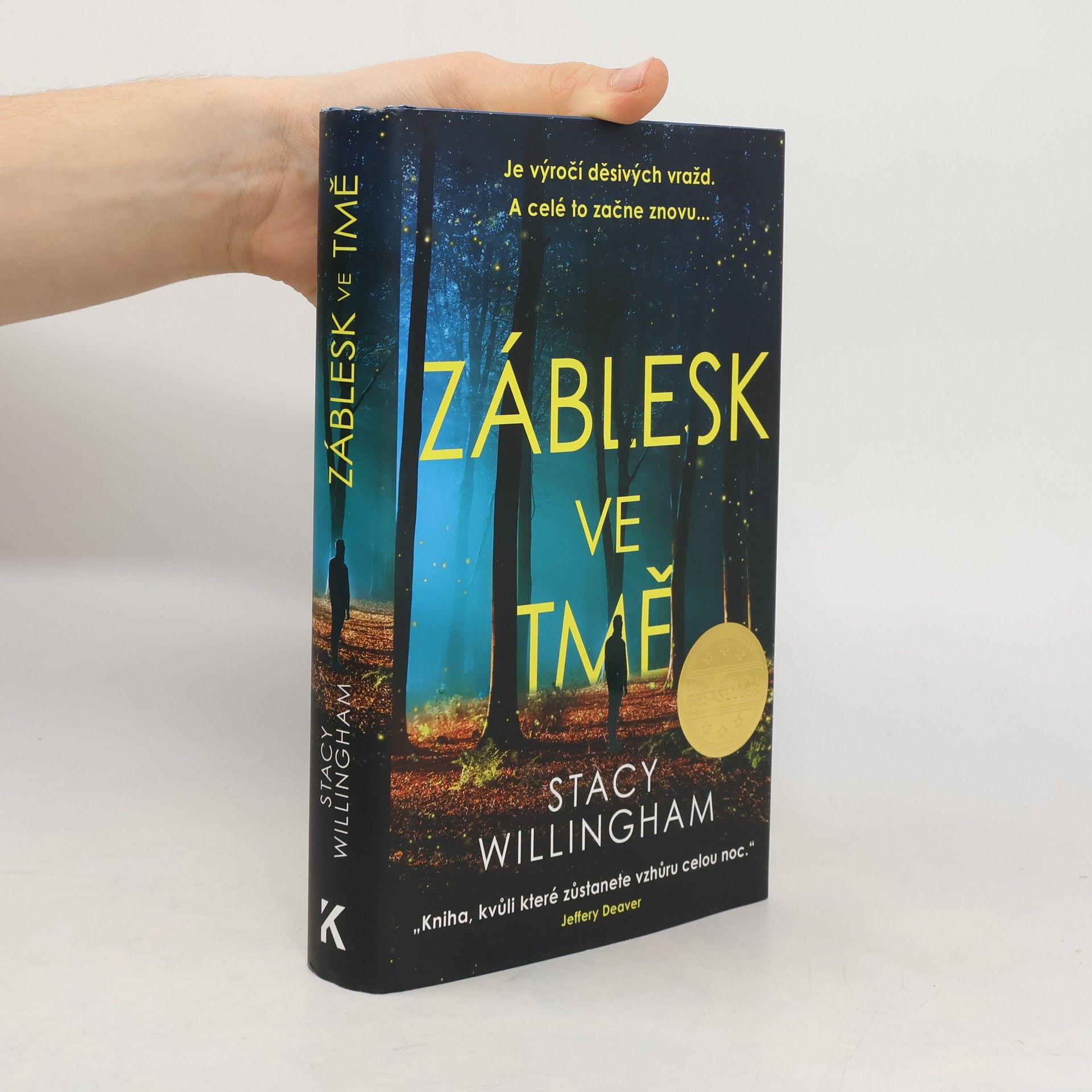 Stacy Willingham Záblesk ve tmě