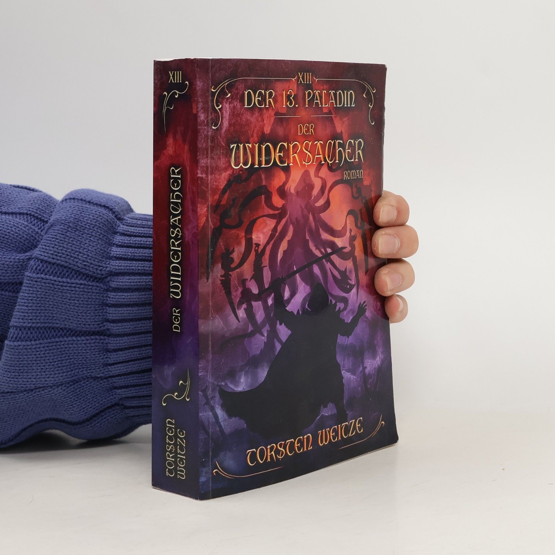 Der 13. Paladin - Der Widersacher