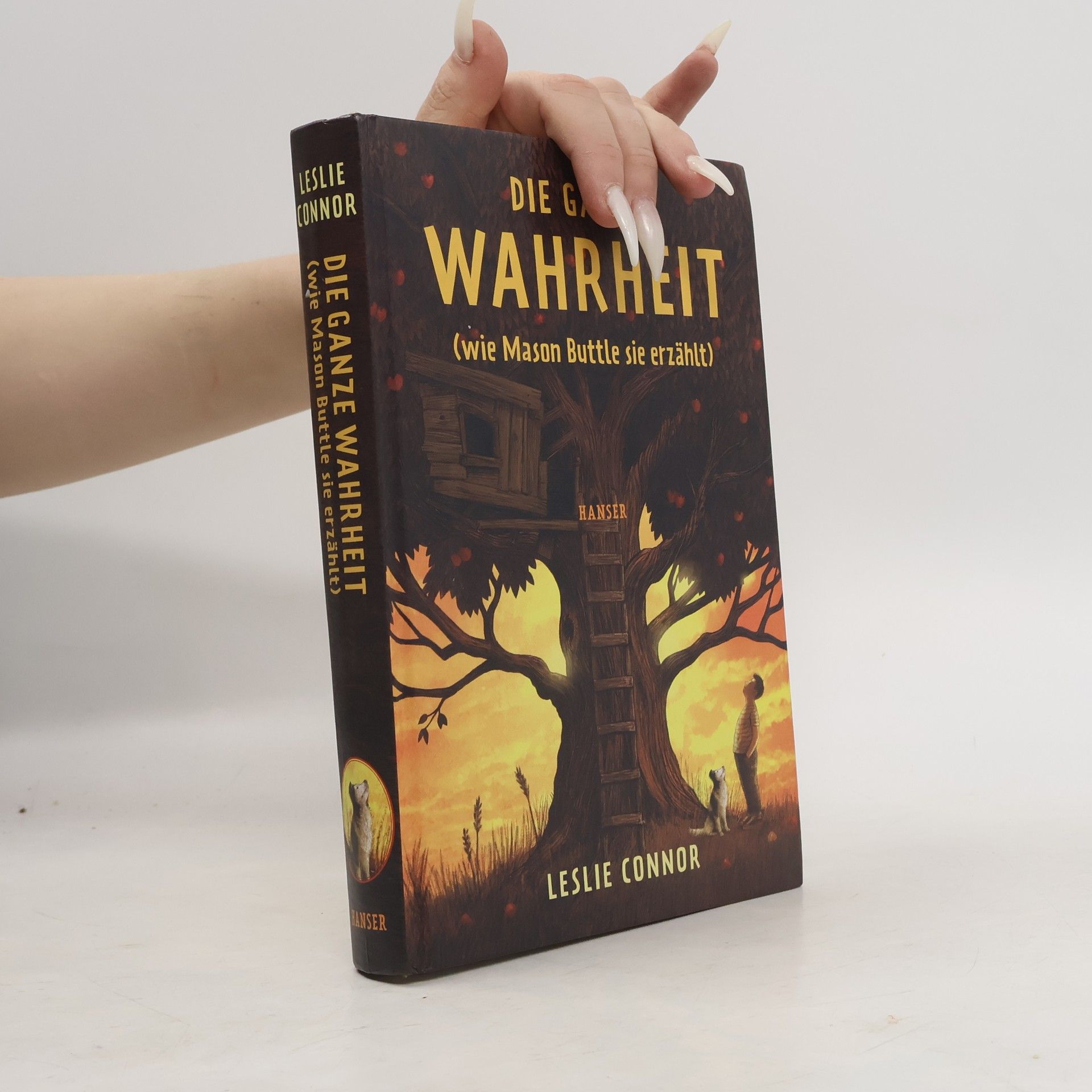 Leslie Connor Die ganze Wahrheit (wie Mason Buttle sie erzählt)