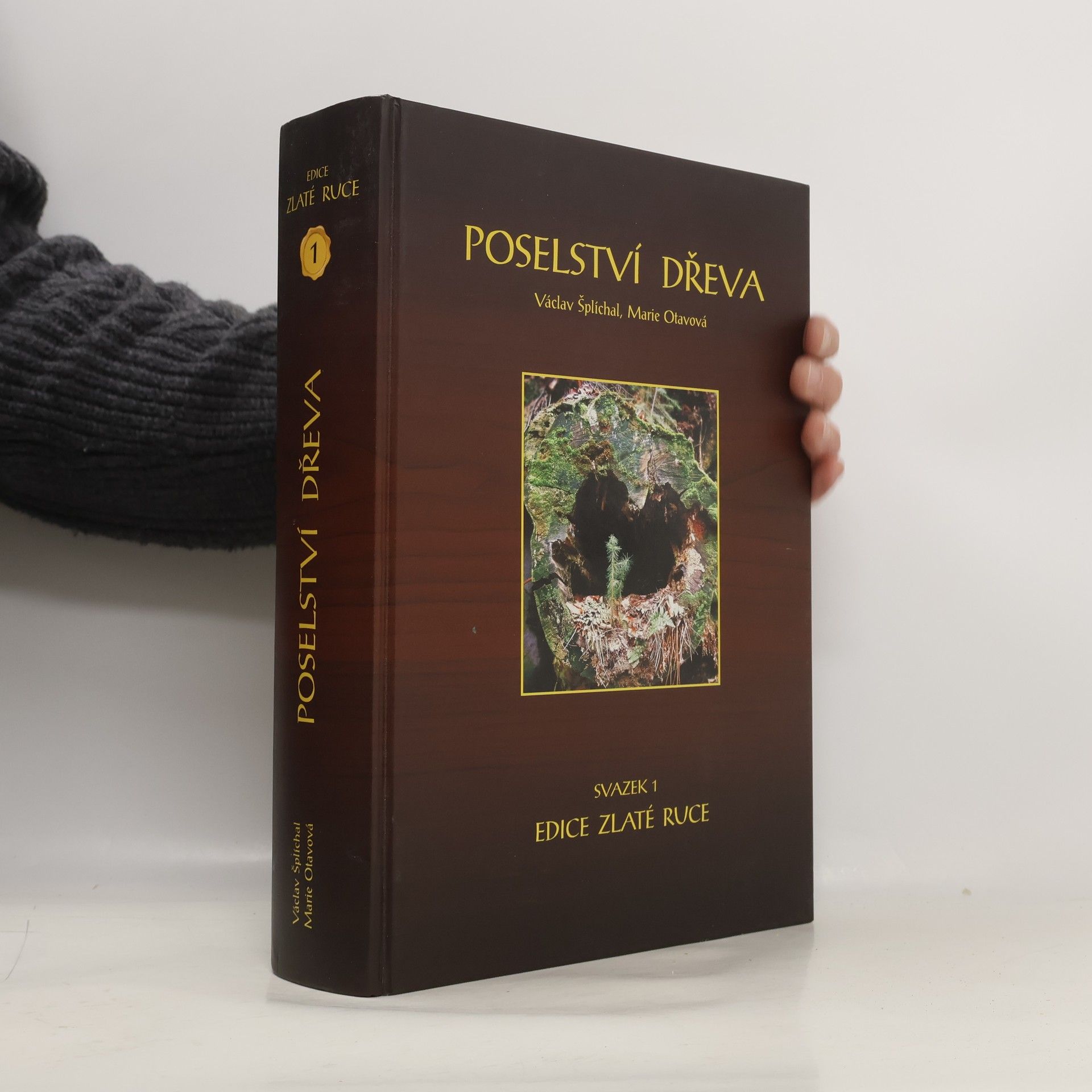 Marie Otavová Poselství dřeva