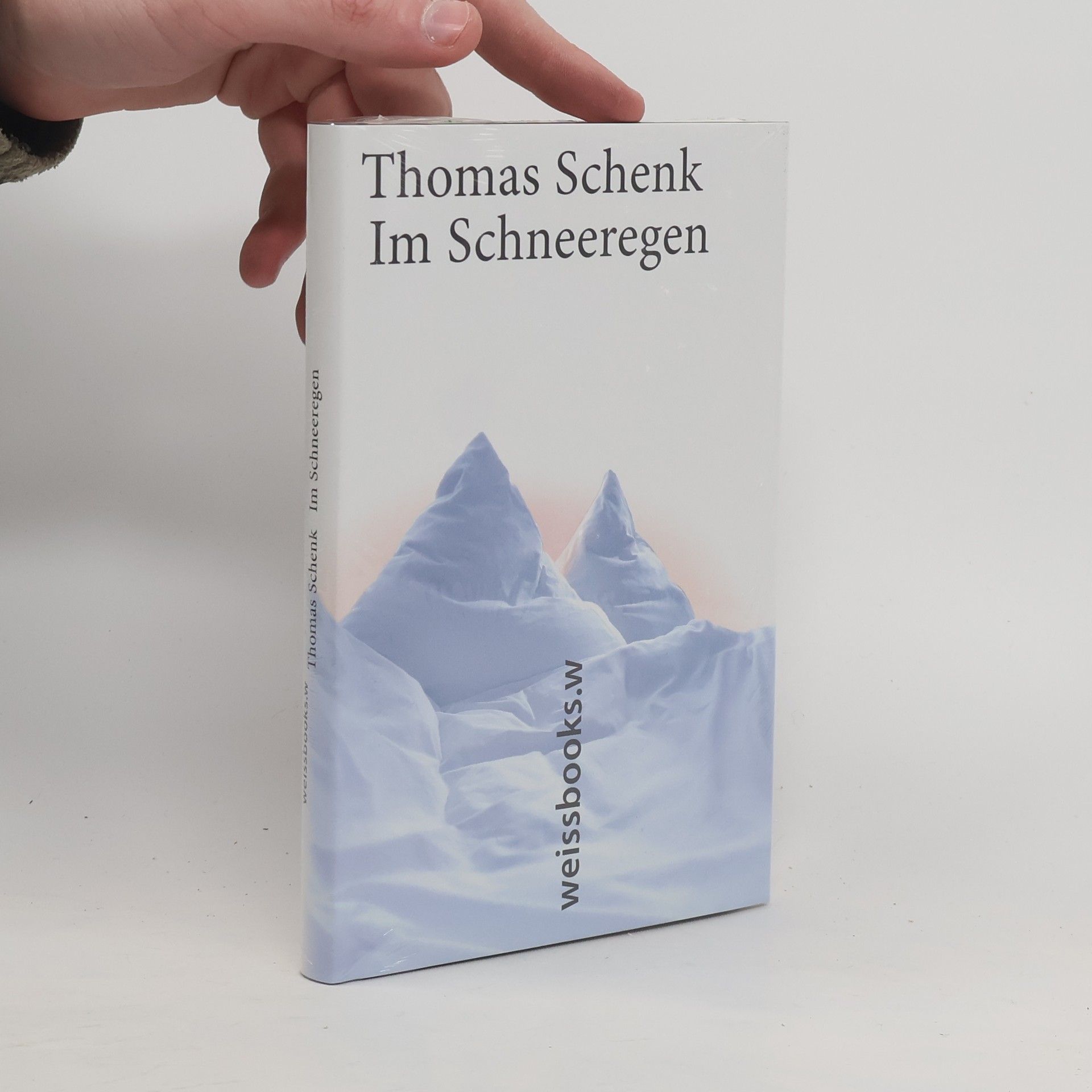 Thomas Schenk Im Schneeregen