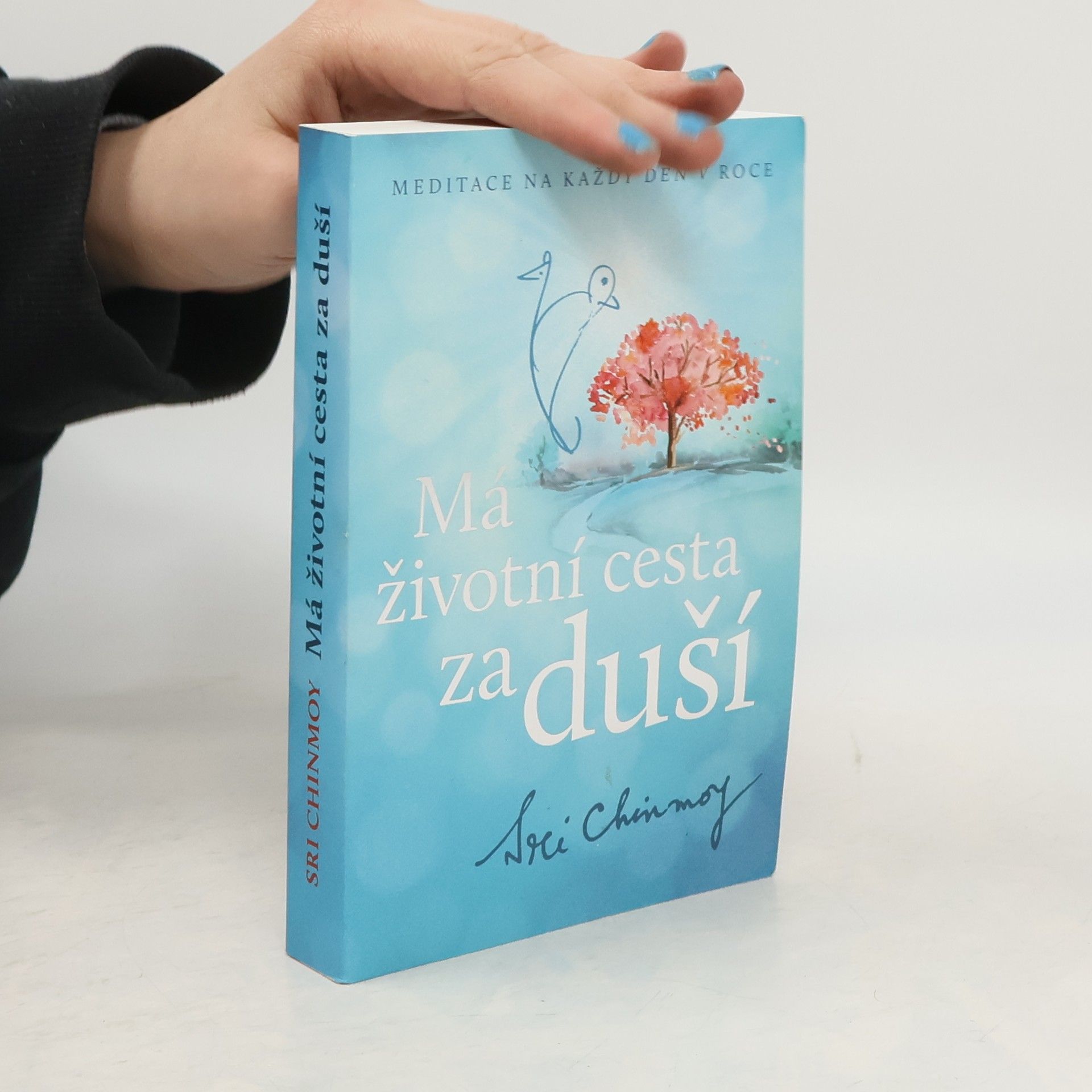 Sri Chinmoy Má životní cesta za duší