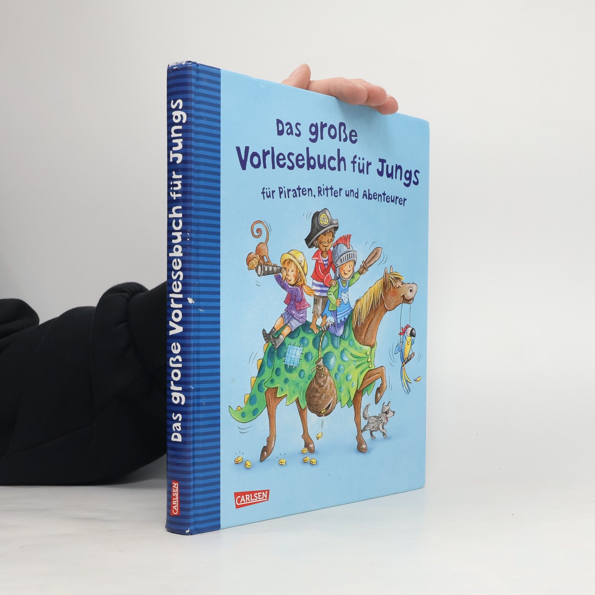 Autorenkollektiv Das große Vorlesebuch für Jungs