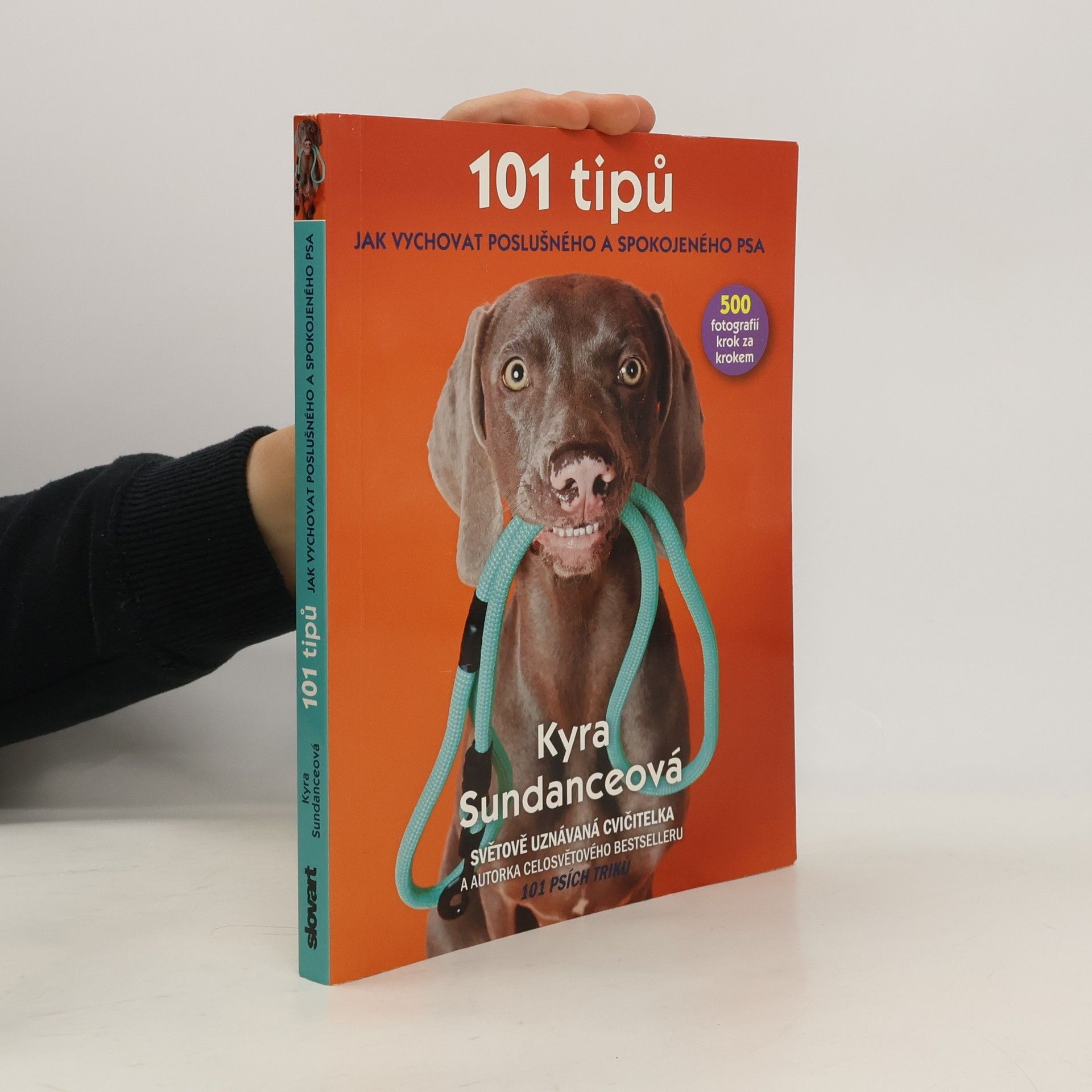 Kyra Sundance 101 tipů jak vychovat poslušného a spokojeného psa