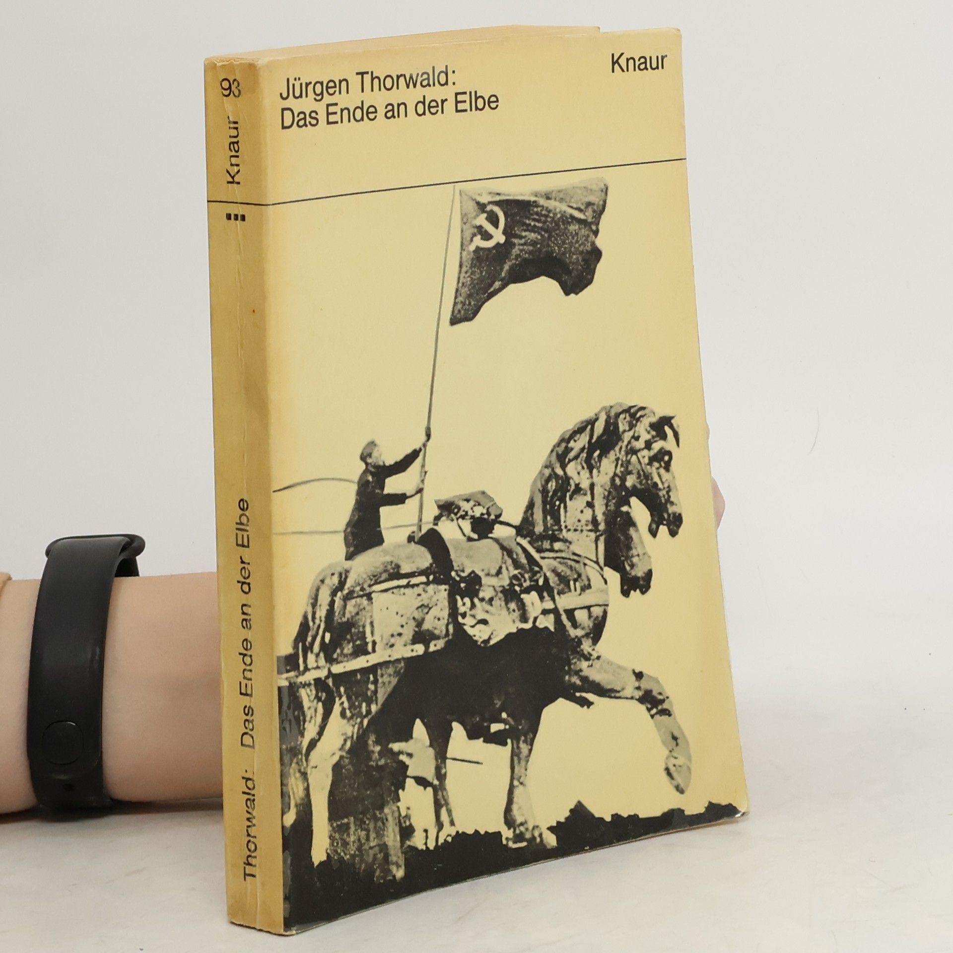 Jürgen Thorwald Das Ende an der Elbe