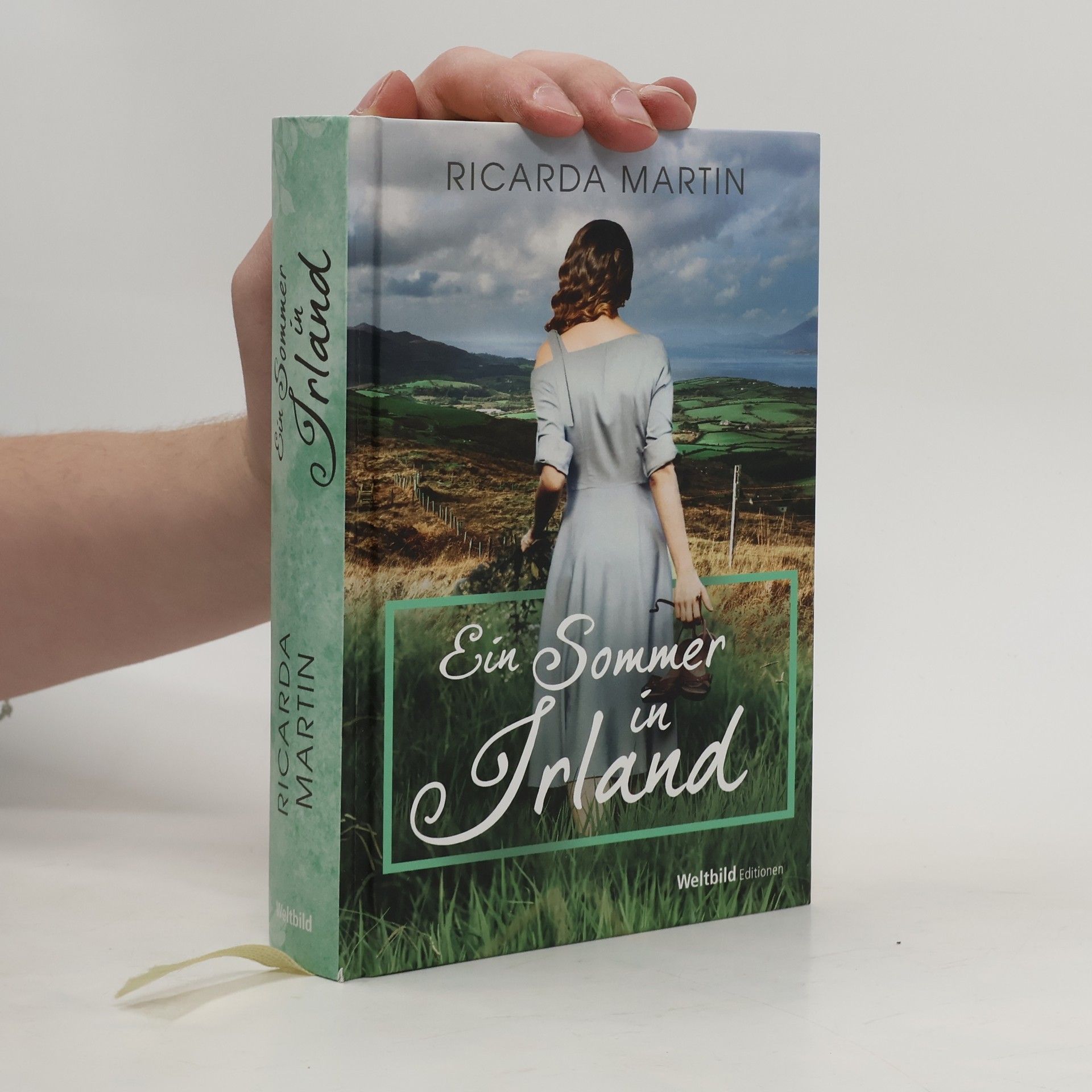 Ricarda Martin Ein Sommer in Irland