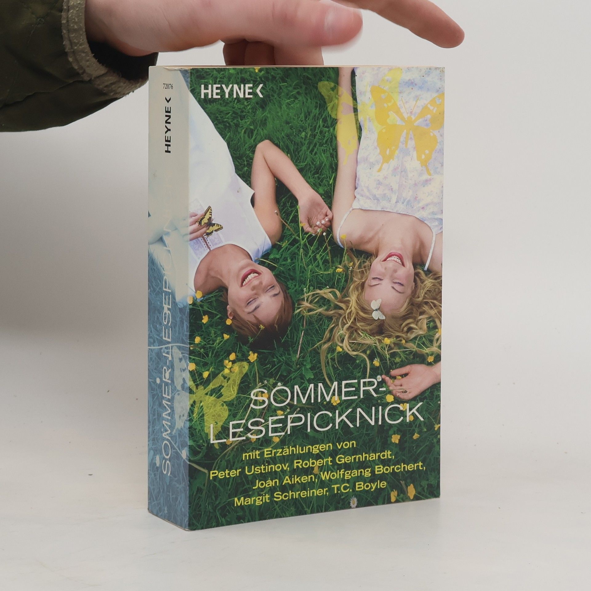 Sommer - Lesepicknick