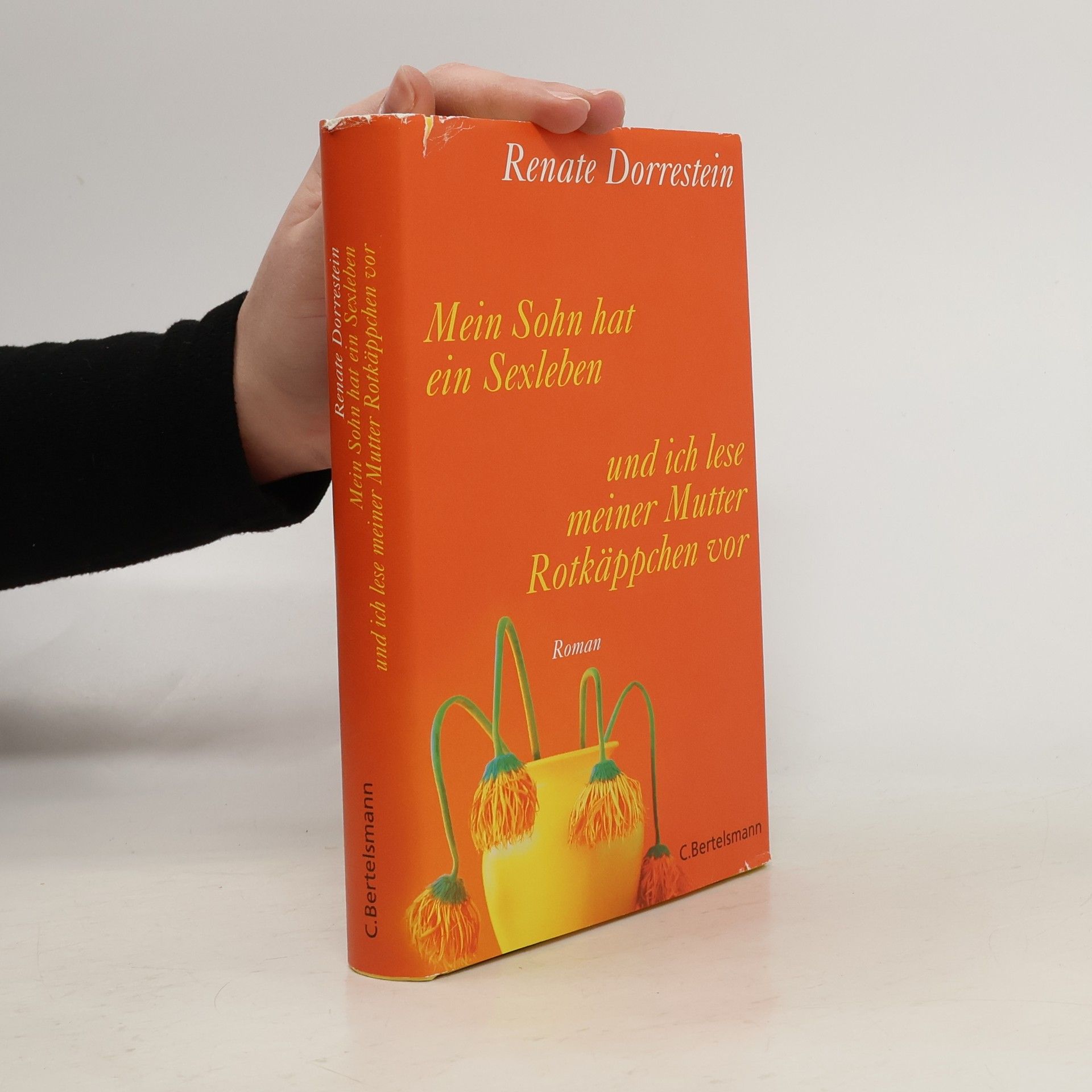 Renate Dorrestein Mein Sohn hat ein Sexleben und ich lese meiner Mutter Rotkäppchen vor