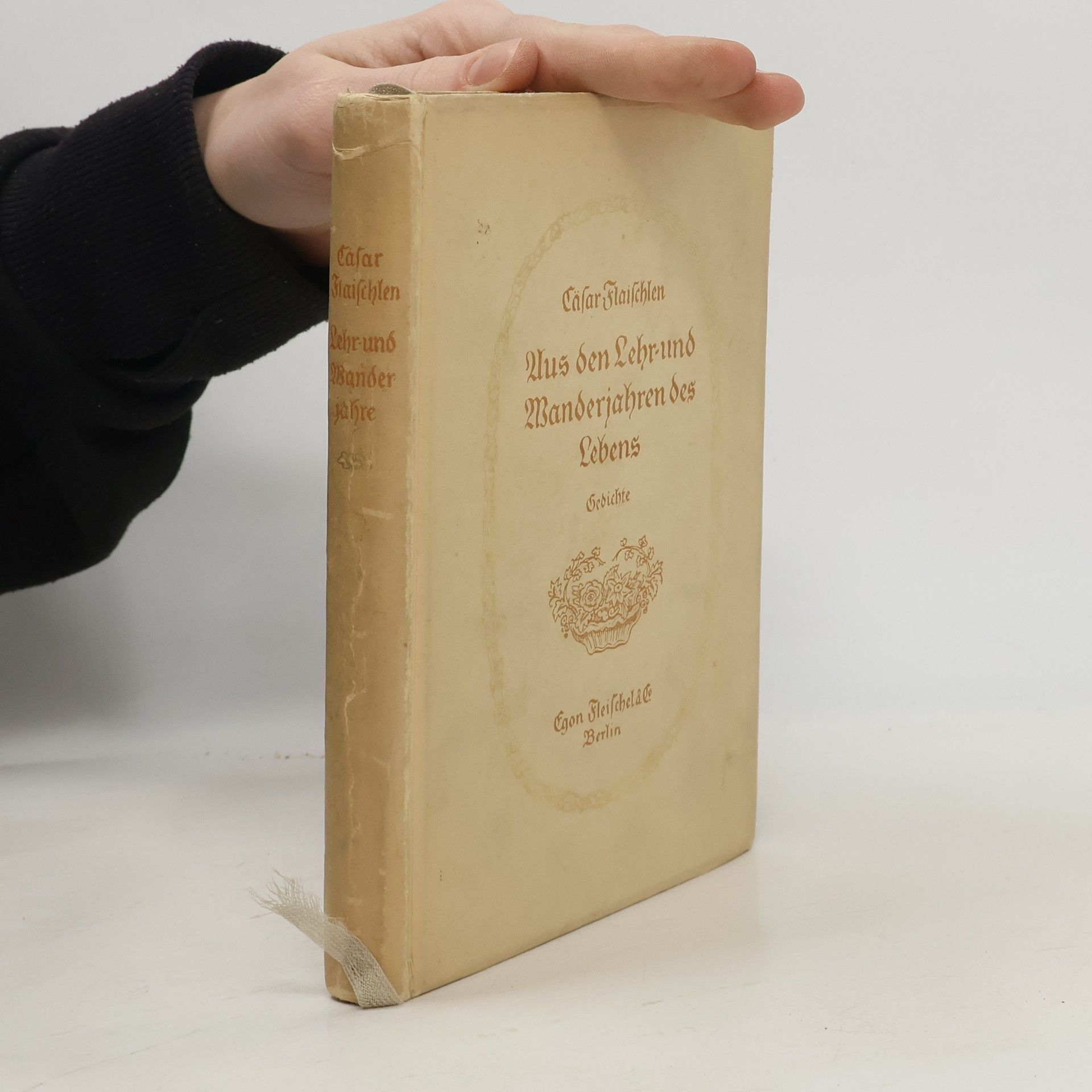 Cäsar Flaischlen Aus den Lehr und Manderjahren des Lebens