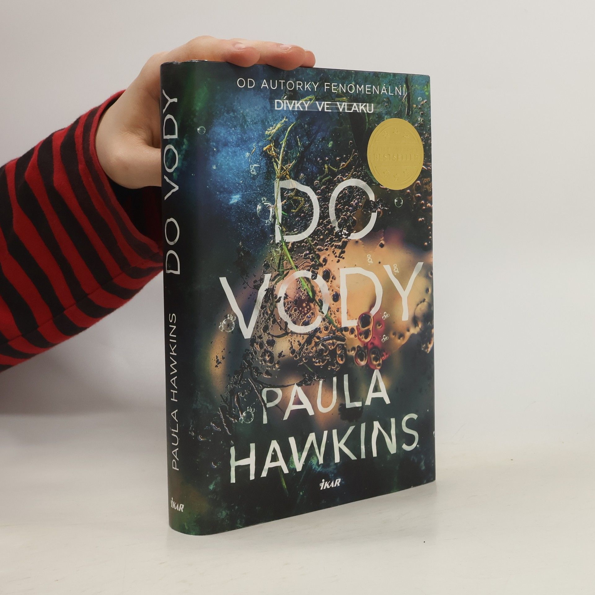Paula Hawkins Do vody