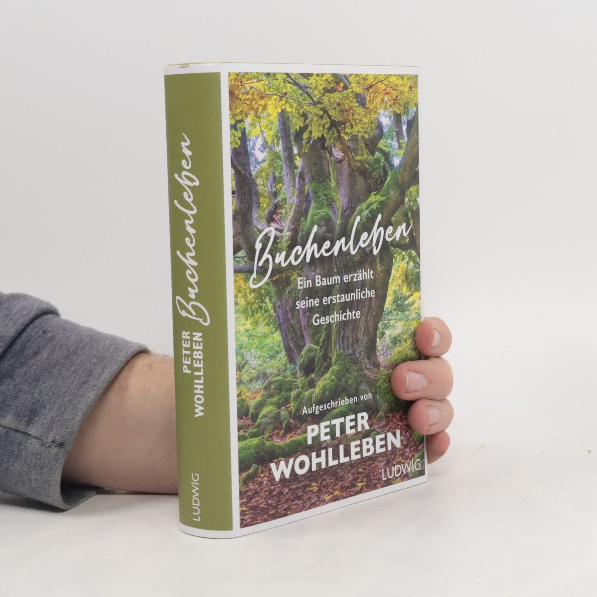 Buchenleben. Ein Baum erzählt seine erstaunliche Geschichte