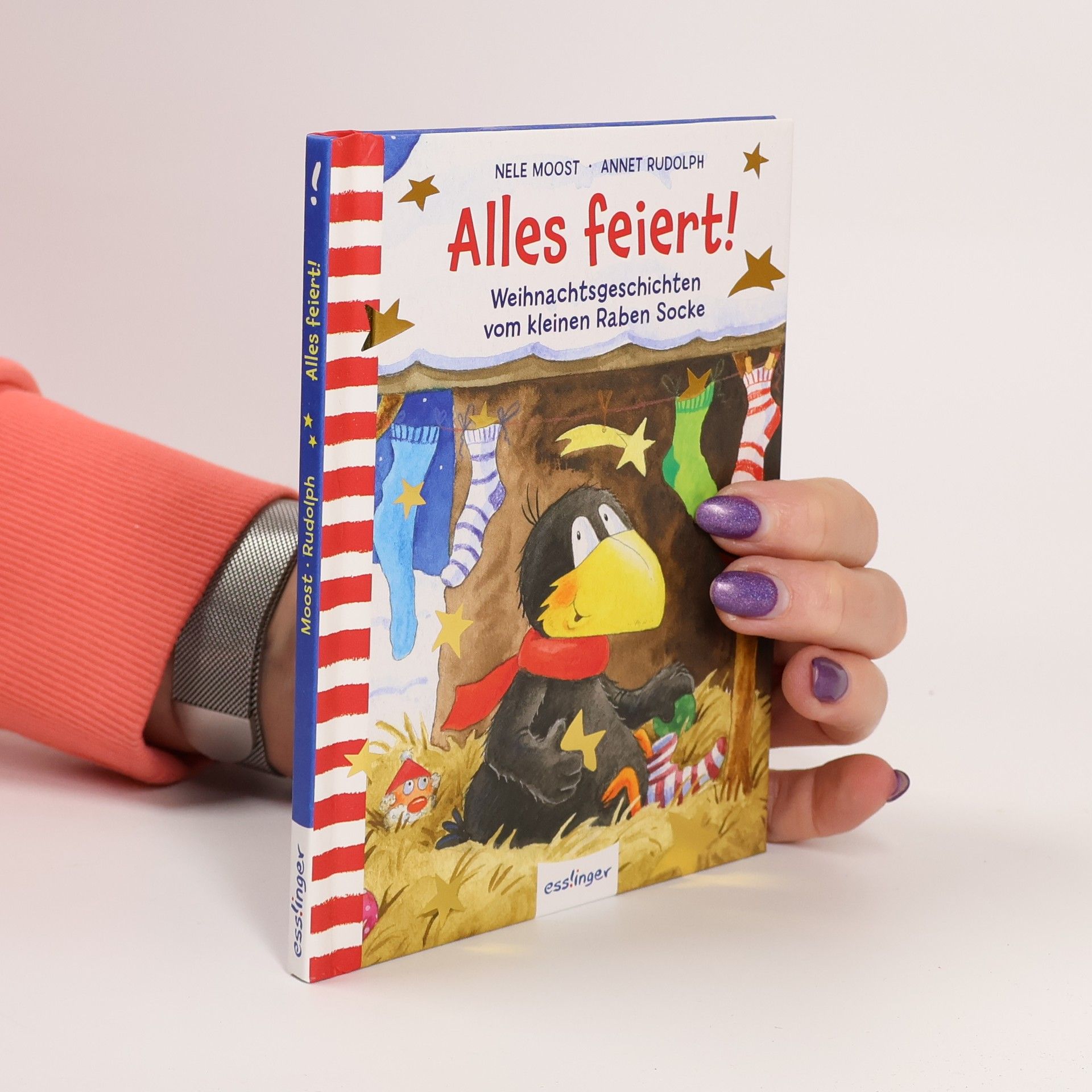 Annet Rudolph Der kleine Rabe Socke: Alles feiert!