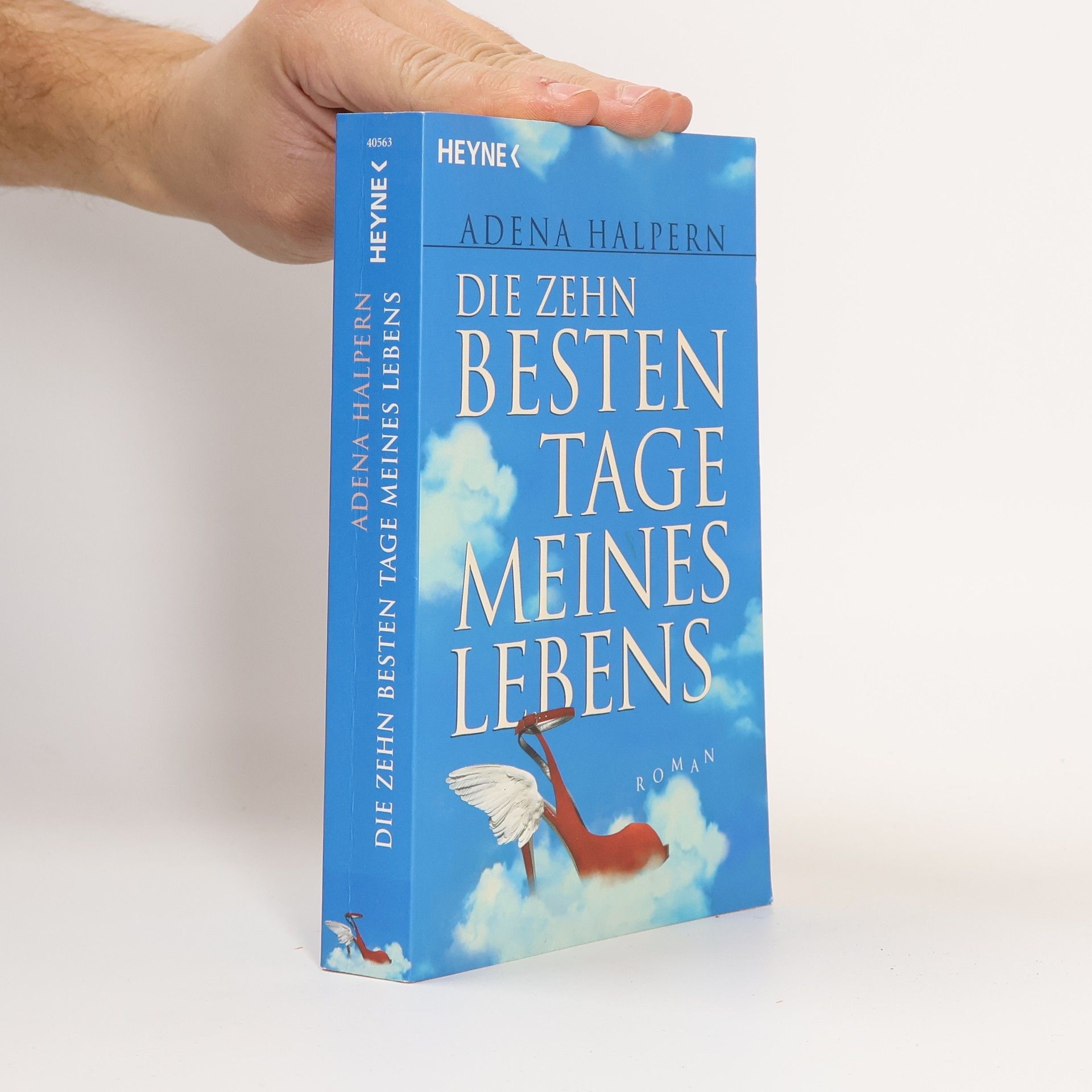 Adena Halpern Die zehn besten Tage meines Lebens
