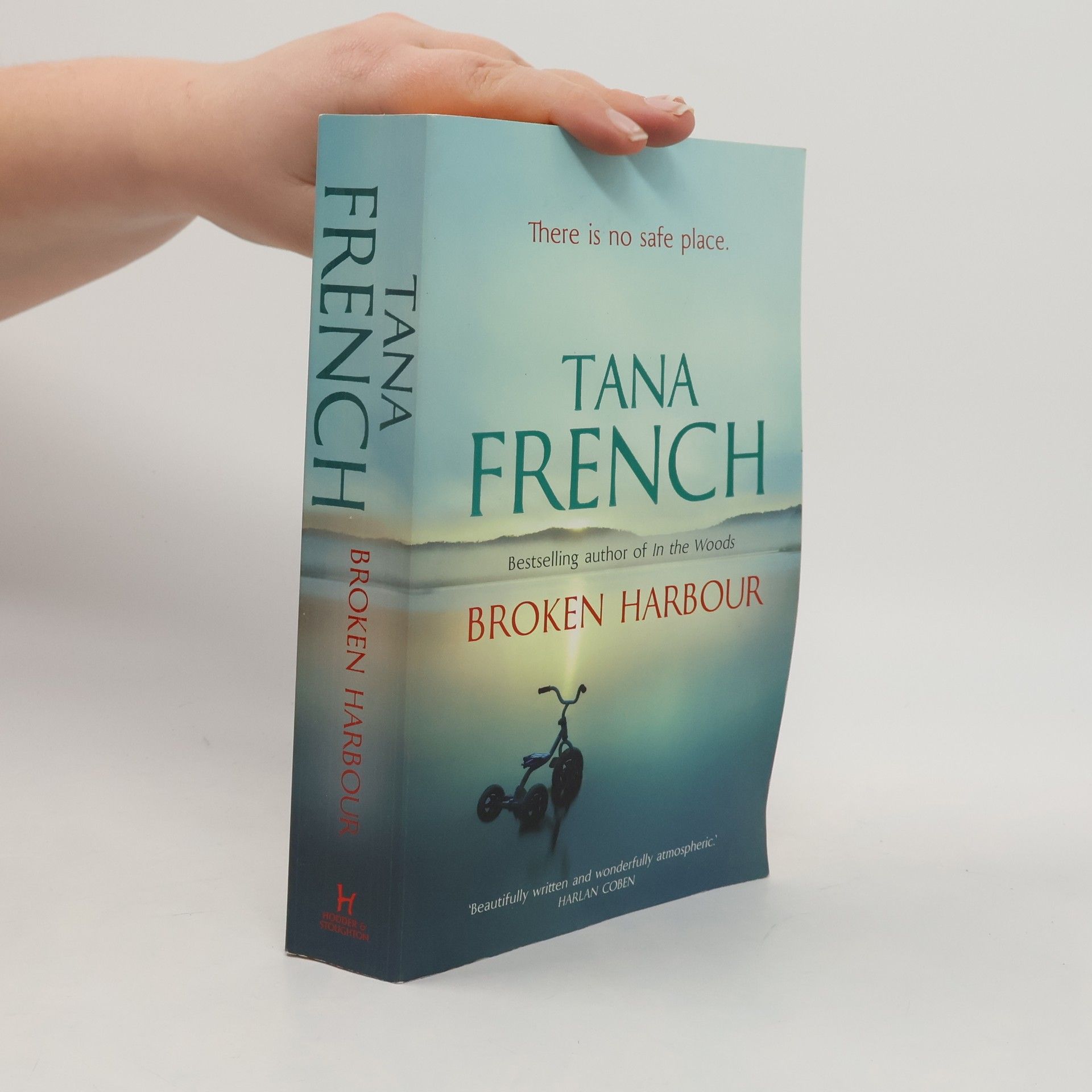 Tana French Broken harbour